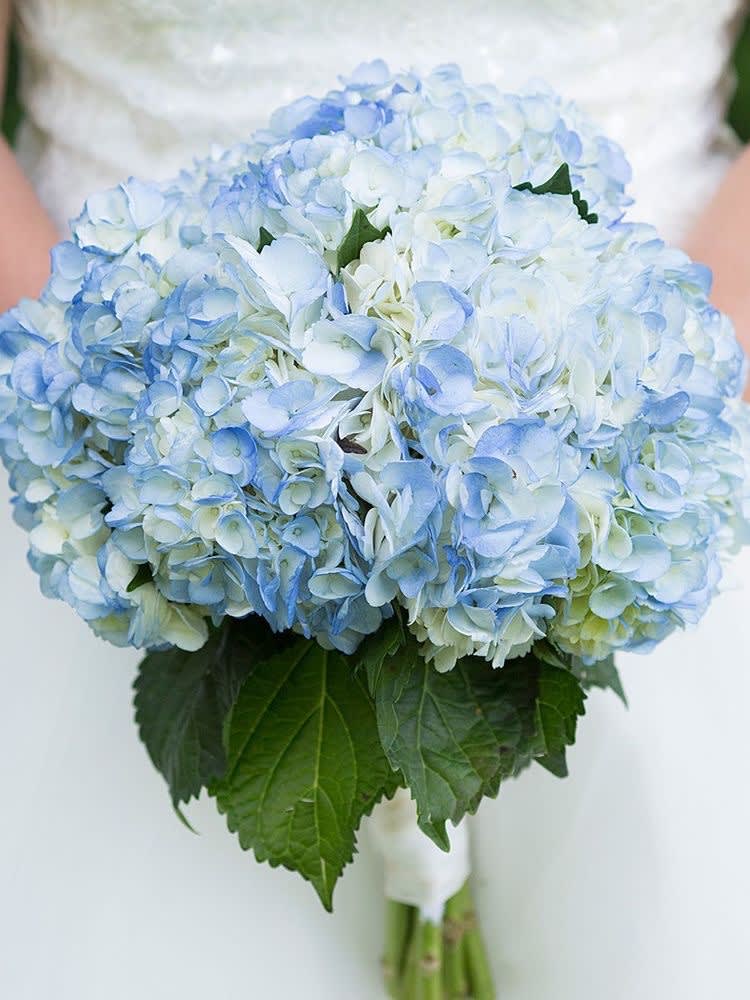 Blue and white hydrangea bouquet with green leaves