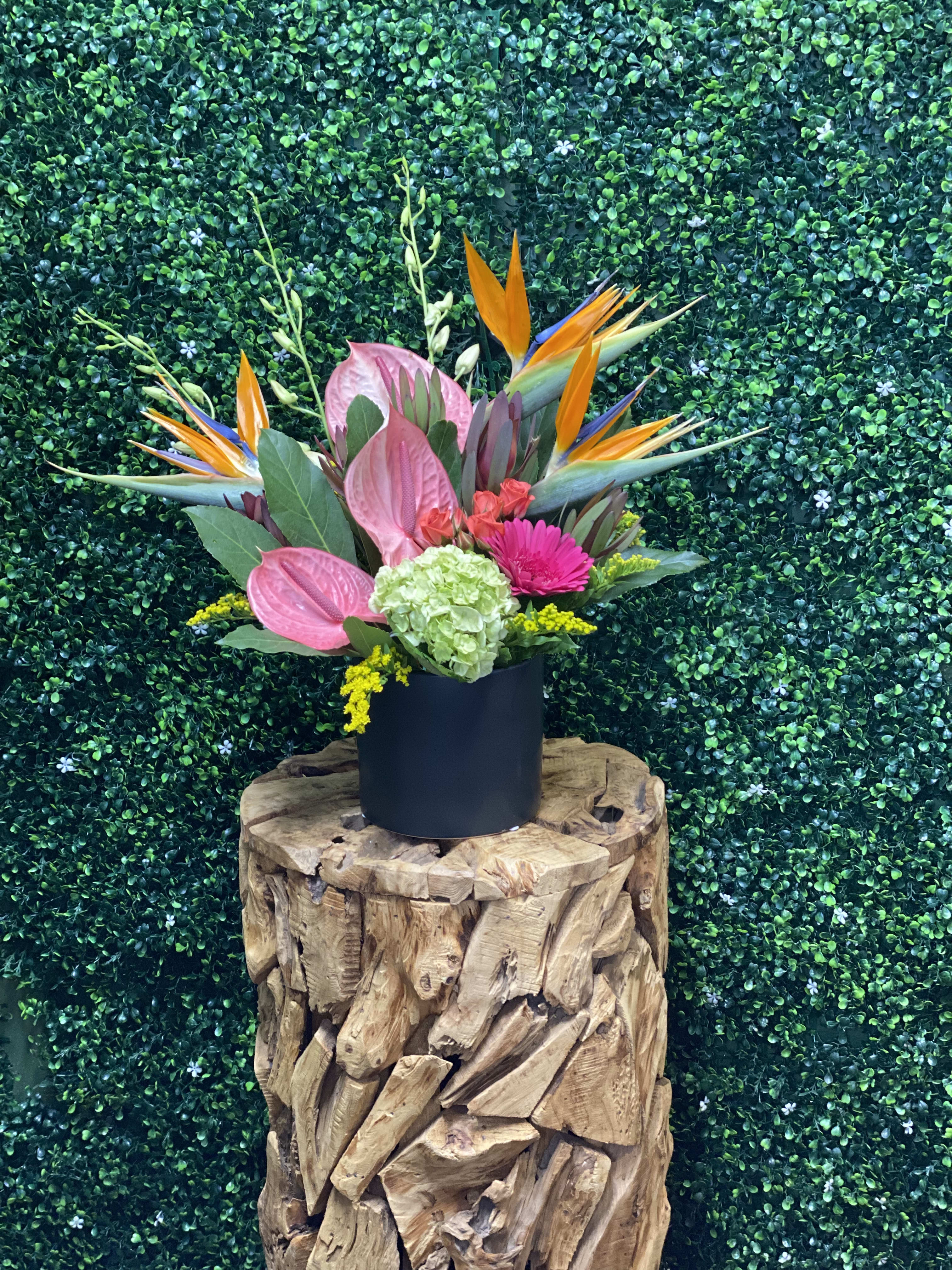 Tropical bouquet with pink anthuriums and bird of paradise in a black vase