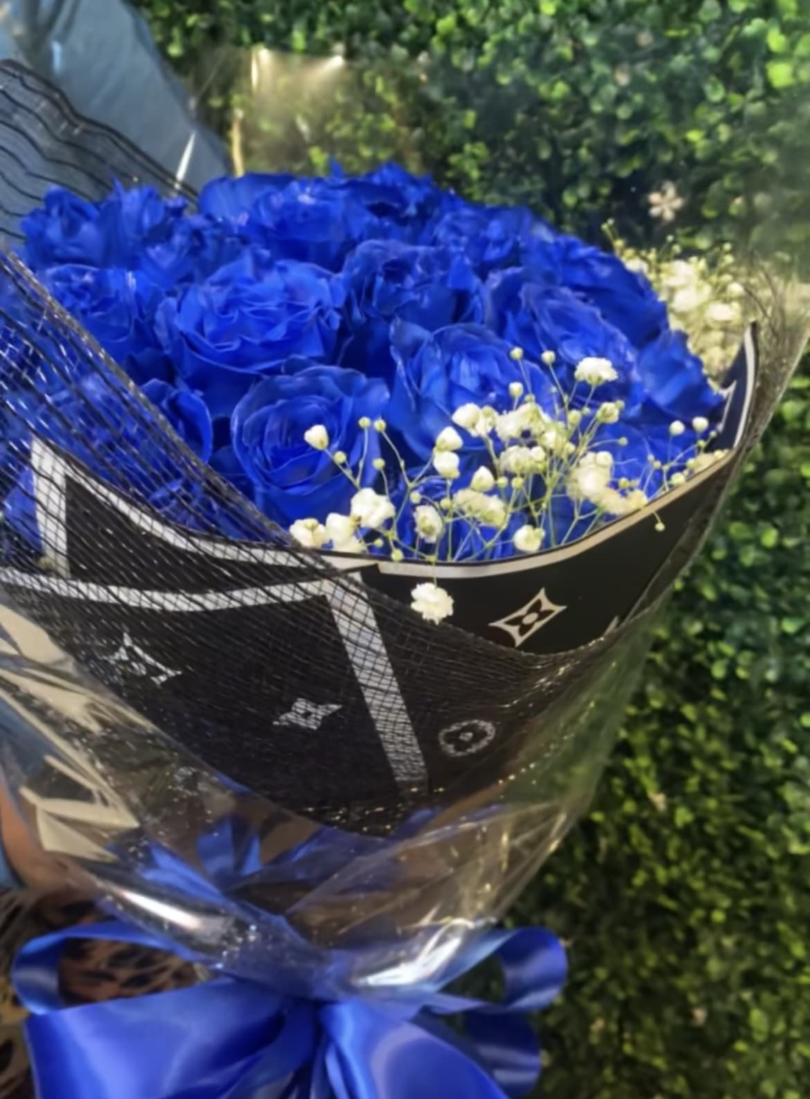 Bouquet of vivid blue roses with white baby's breath in black wrap