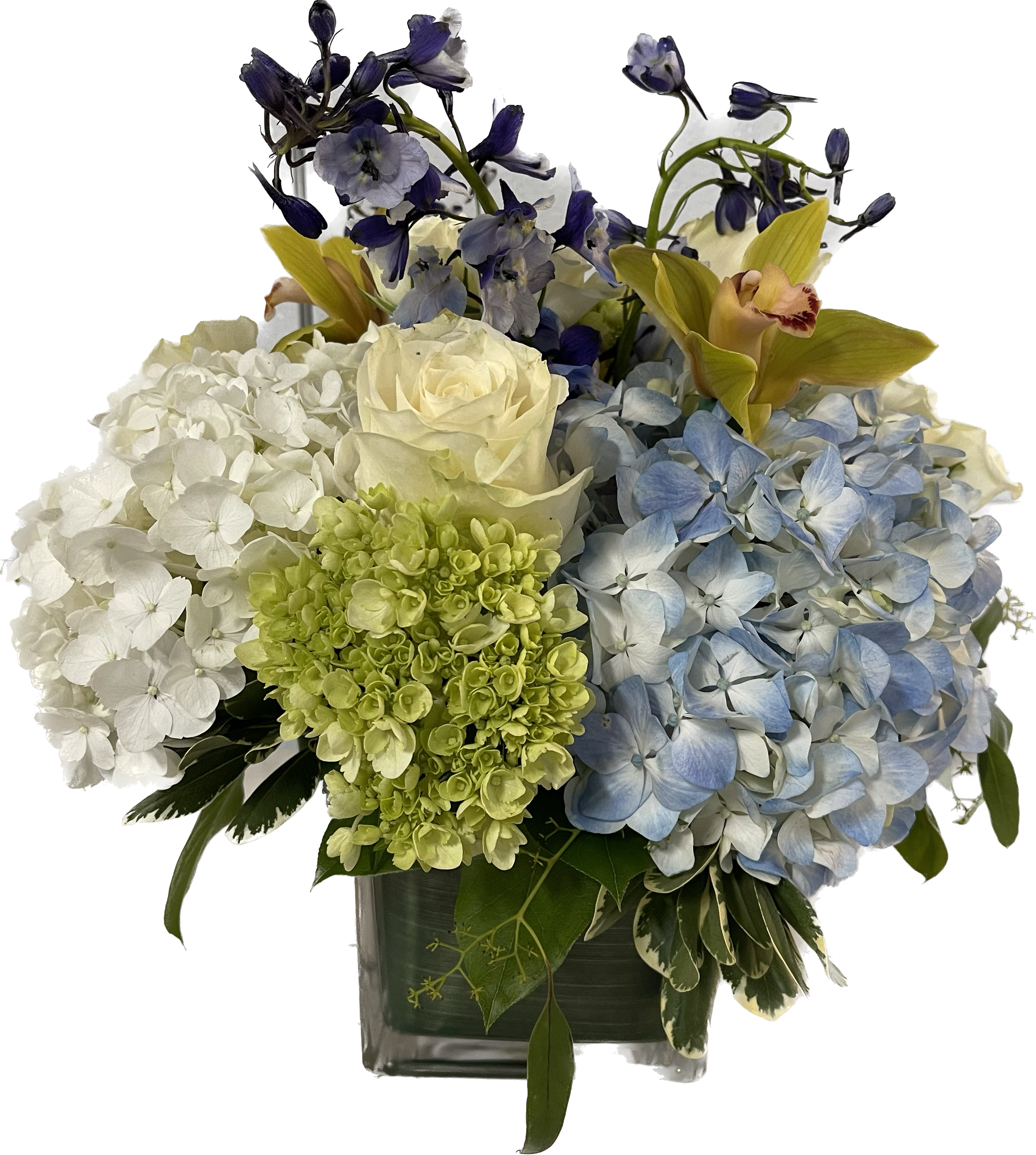 Seascape - Masculine arrangement of hydrangea, roses, cymbidium orchids and blue delphinium