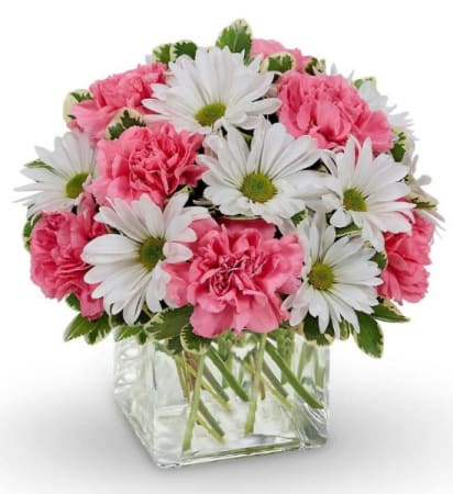 Pink carnations and white daisies in a clear square vase