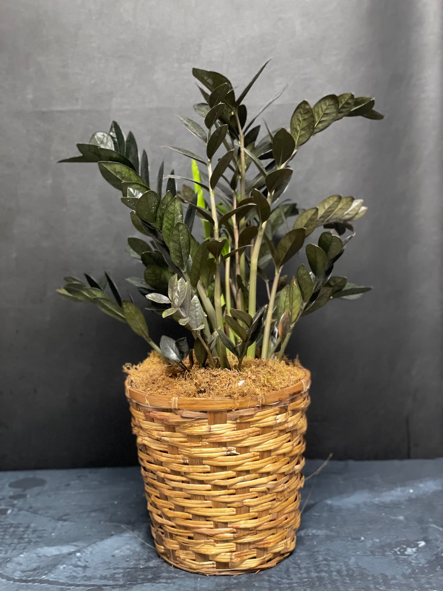 Potted green plant in a woven basket planter