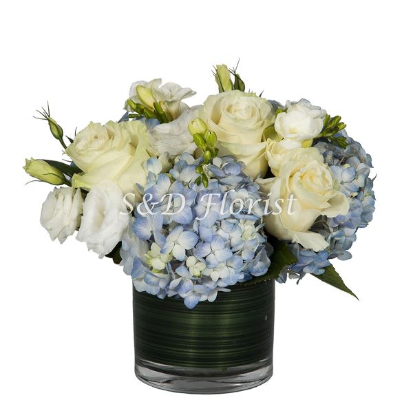 White roses and blue hydrangeas in a dark glass vase