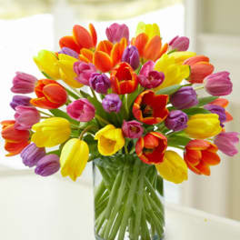 Bouquet of multicolored tulips in a clear glass vase
