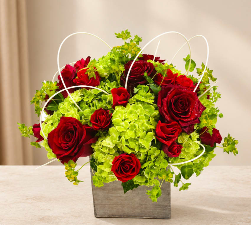 Red roses and lime hydrangeas in a square gray container with white loops