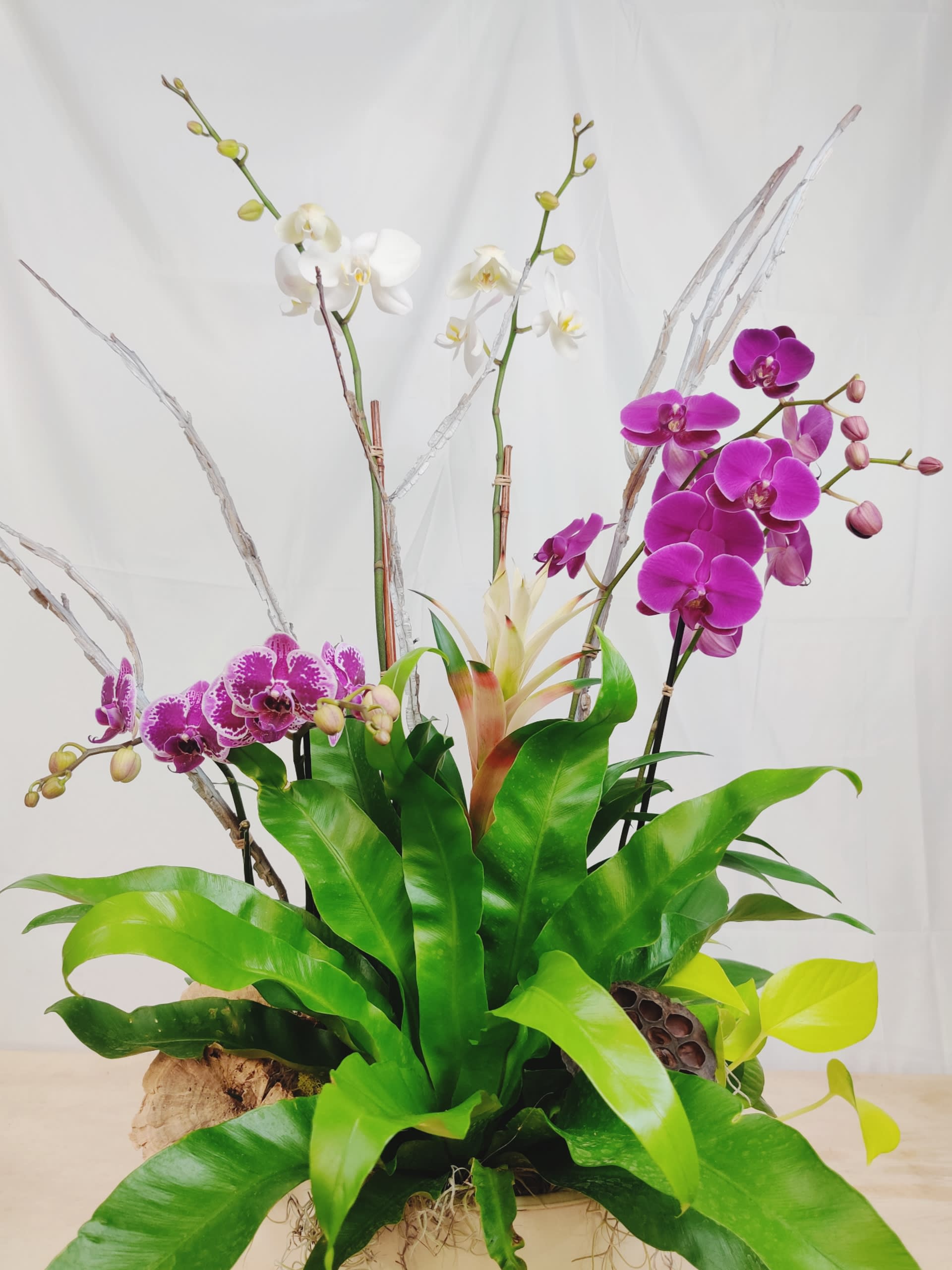 Arrangement of purple and white orchids in a low container