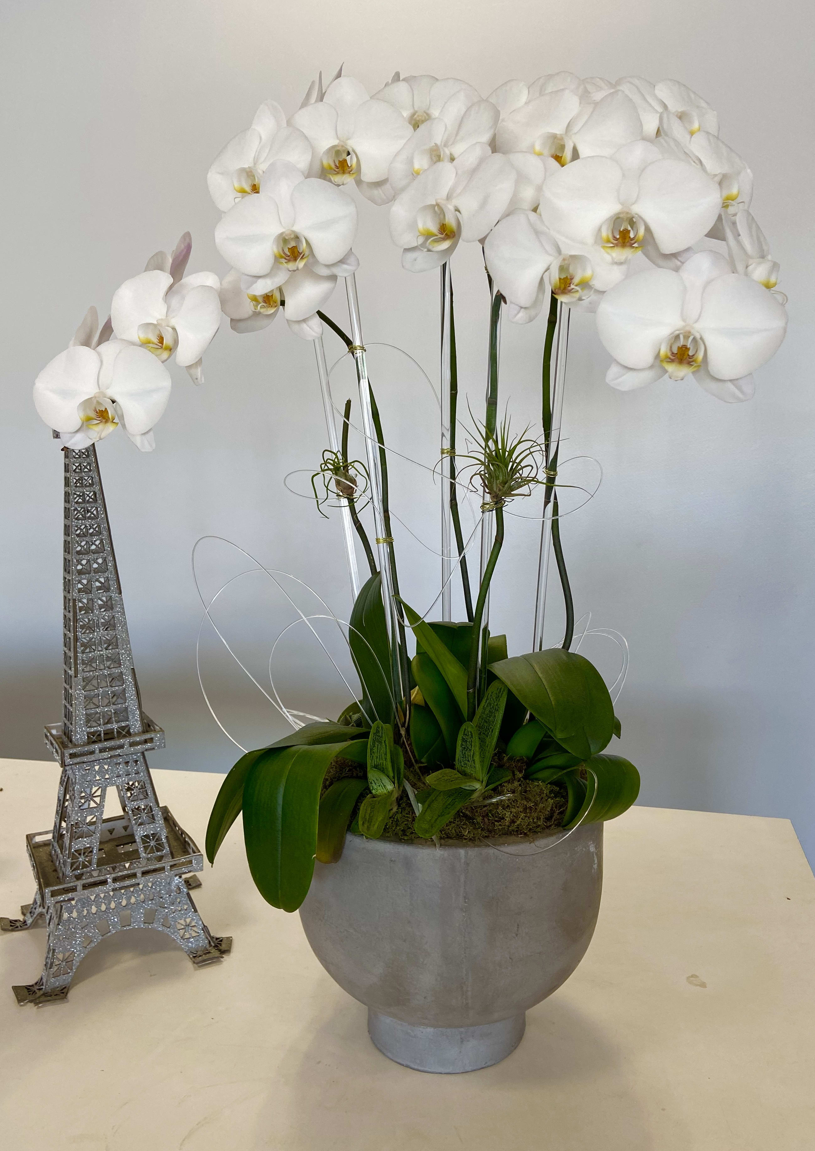White orchids in a gray pot beside a small Eiffel Tower decoration