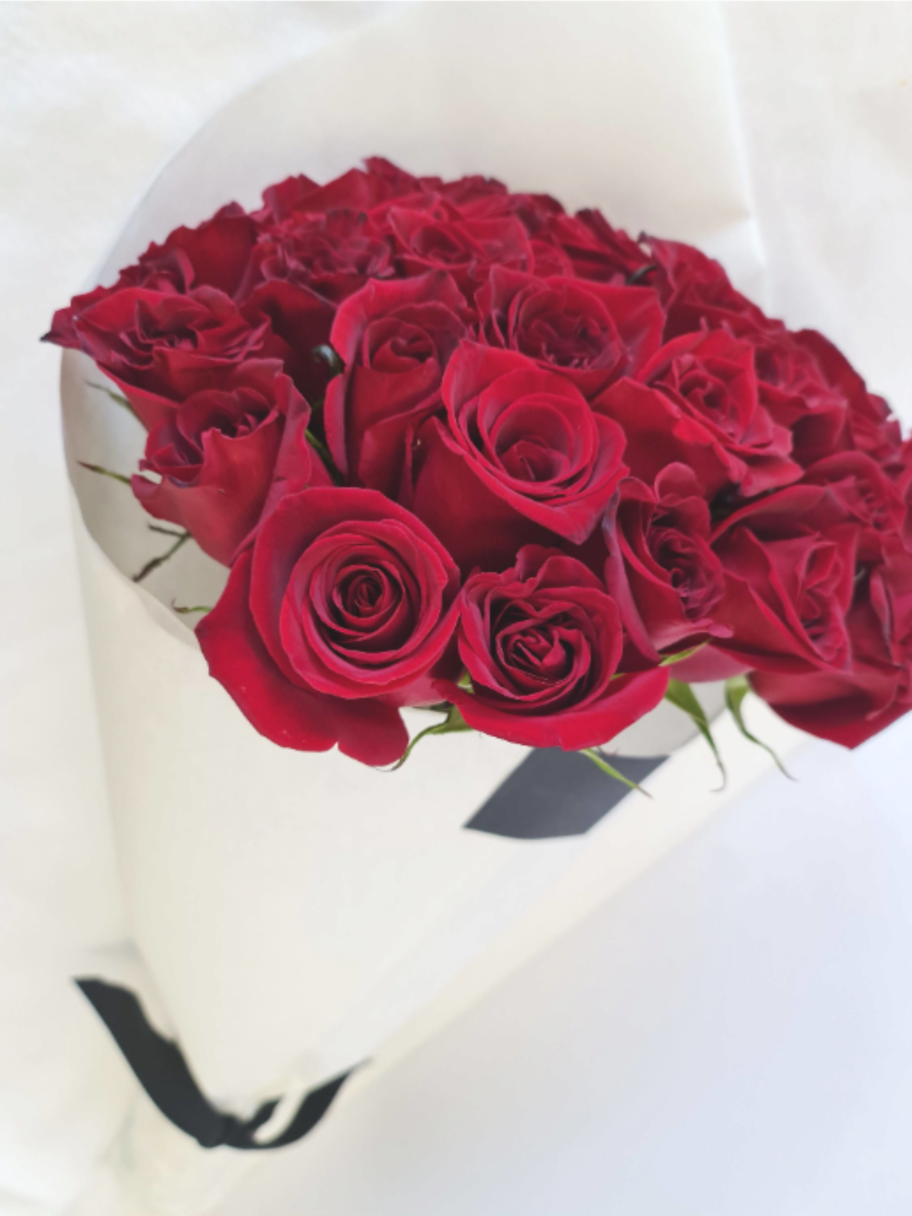 Bouquet of red roses wrapped in white paper