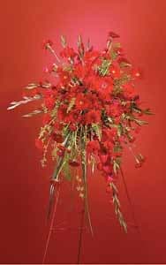 SF71-31 Red Monochromatic Spray - As Shown : SF71-31