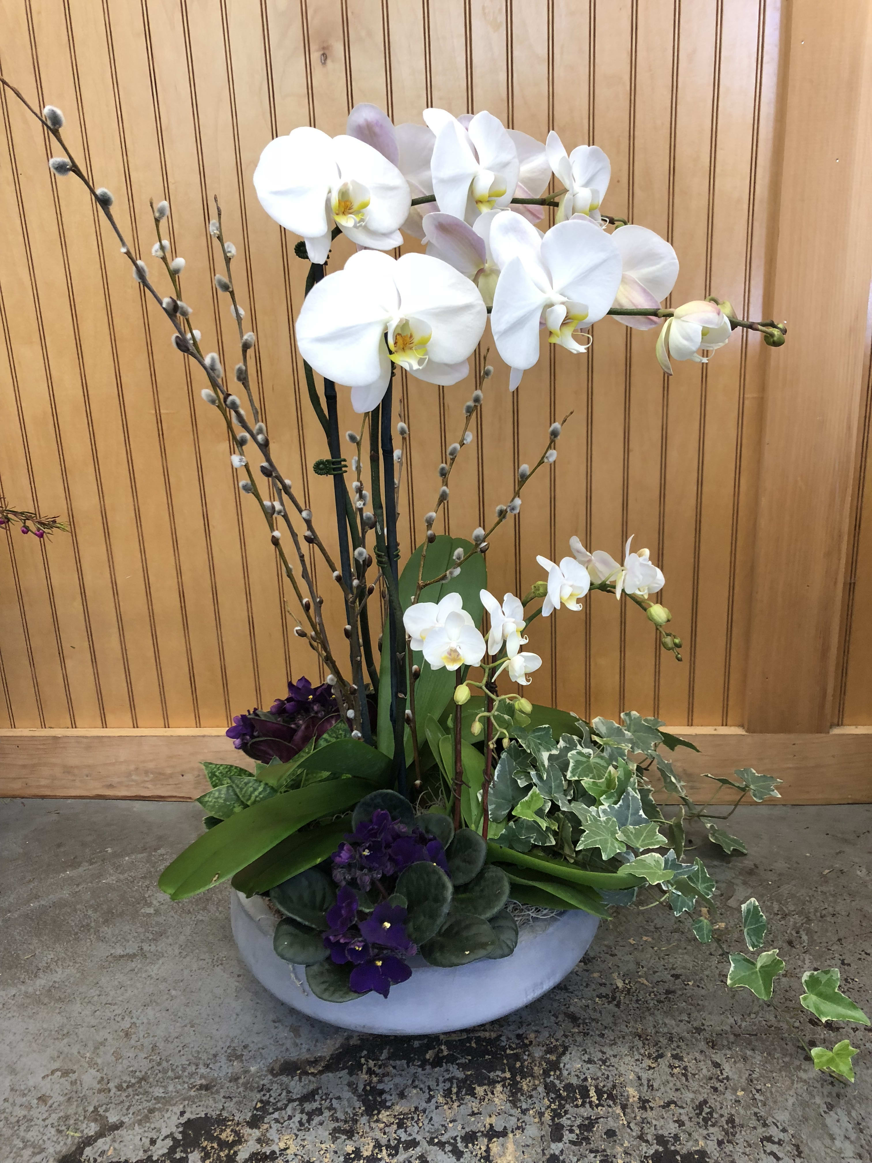 White orchids arranged in a low white bowl with purple flowers and ivy