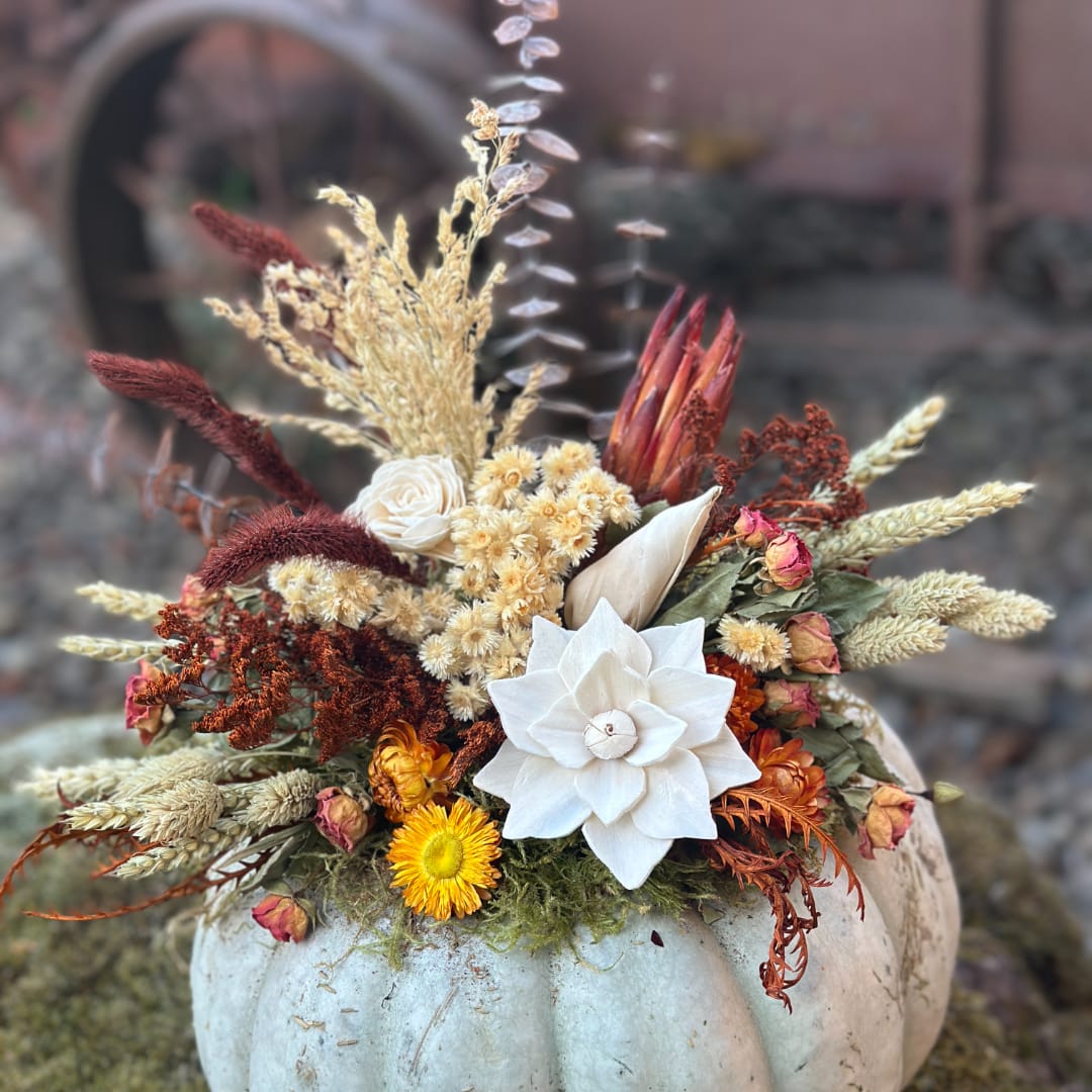 Dried floral arrangement in a white pumpkin container