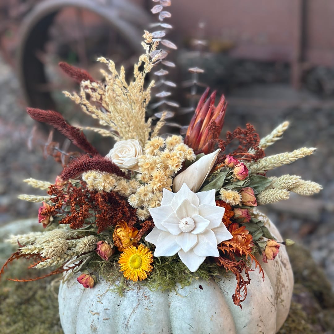 Dried floral arrangement in a white pumpkin container with cream and rust accents