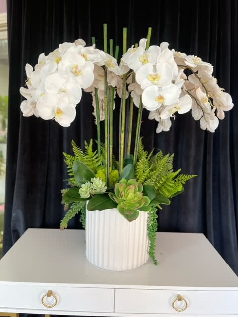 White orchid arrangement in a ribbed white vase with succulents and ferns