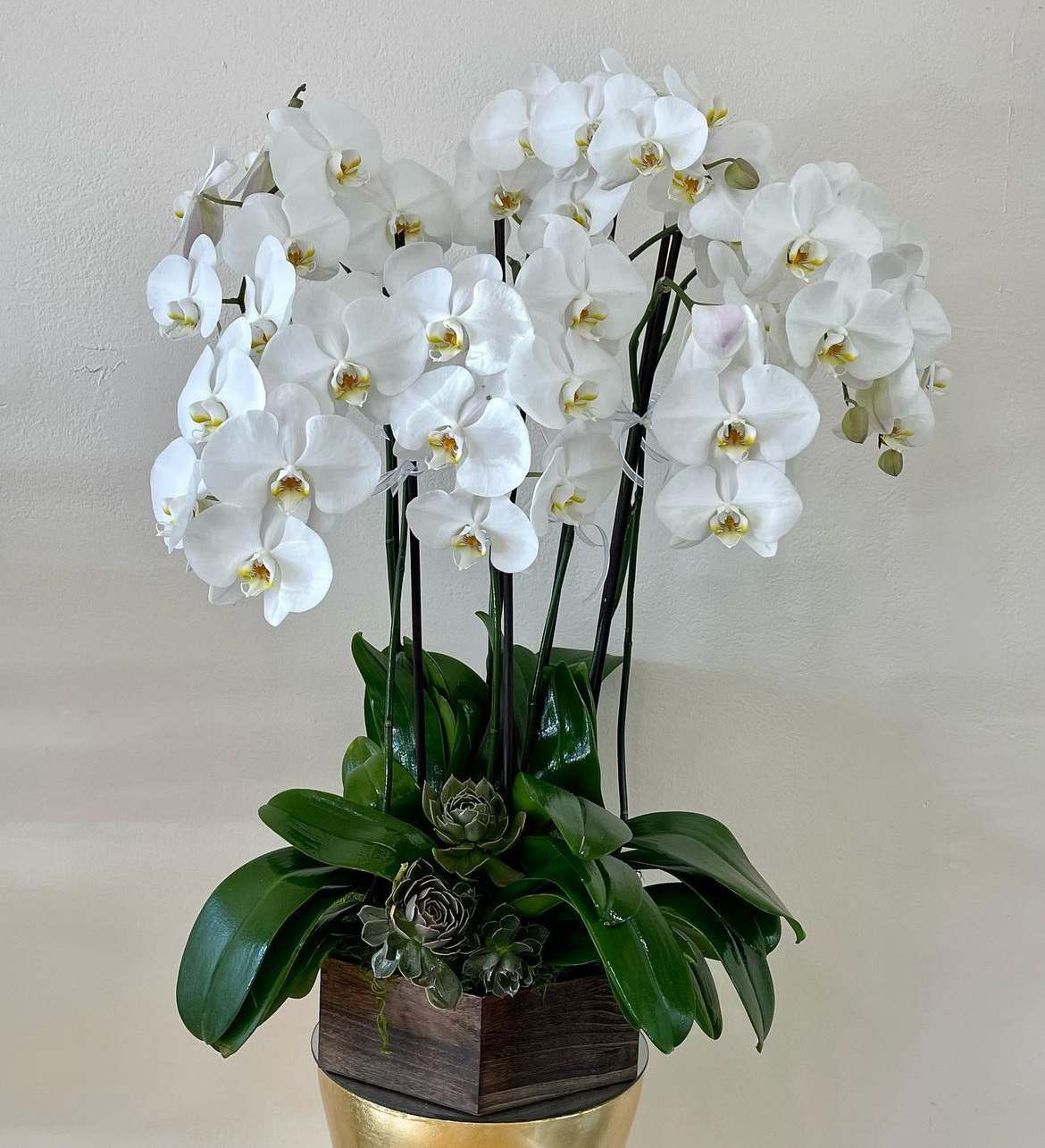 White orchid arrangement in a wooden planter with succulents