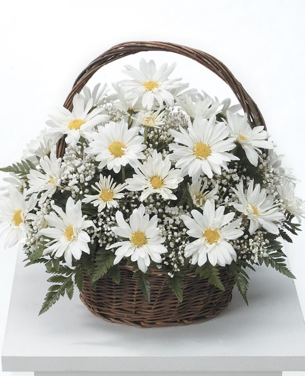 White daisy basket arrangement with baby's breath in a brown wicker handle basket