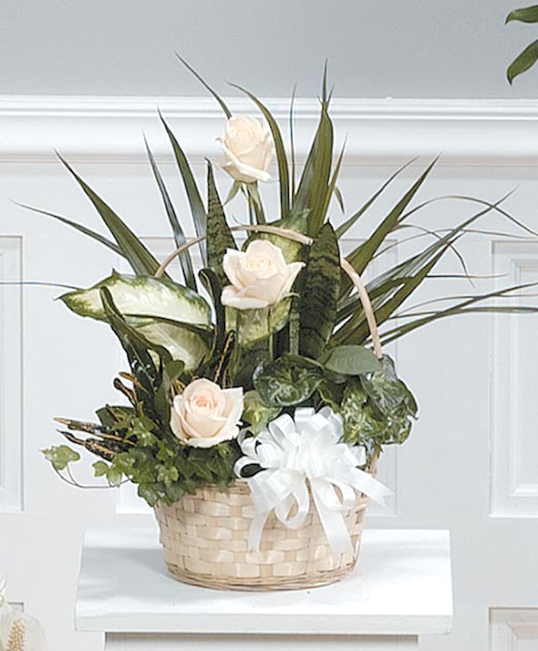 Basket of green plants with three ivory roses and a white bow