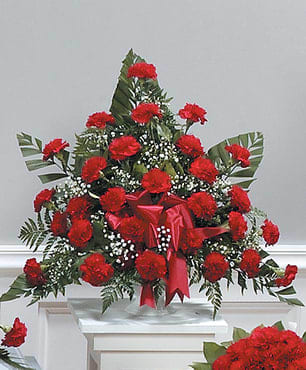 Fan-shaped arrangement of red carnations with white filler flowers and a red bow on a white pedestal