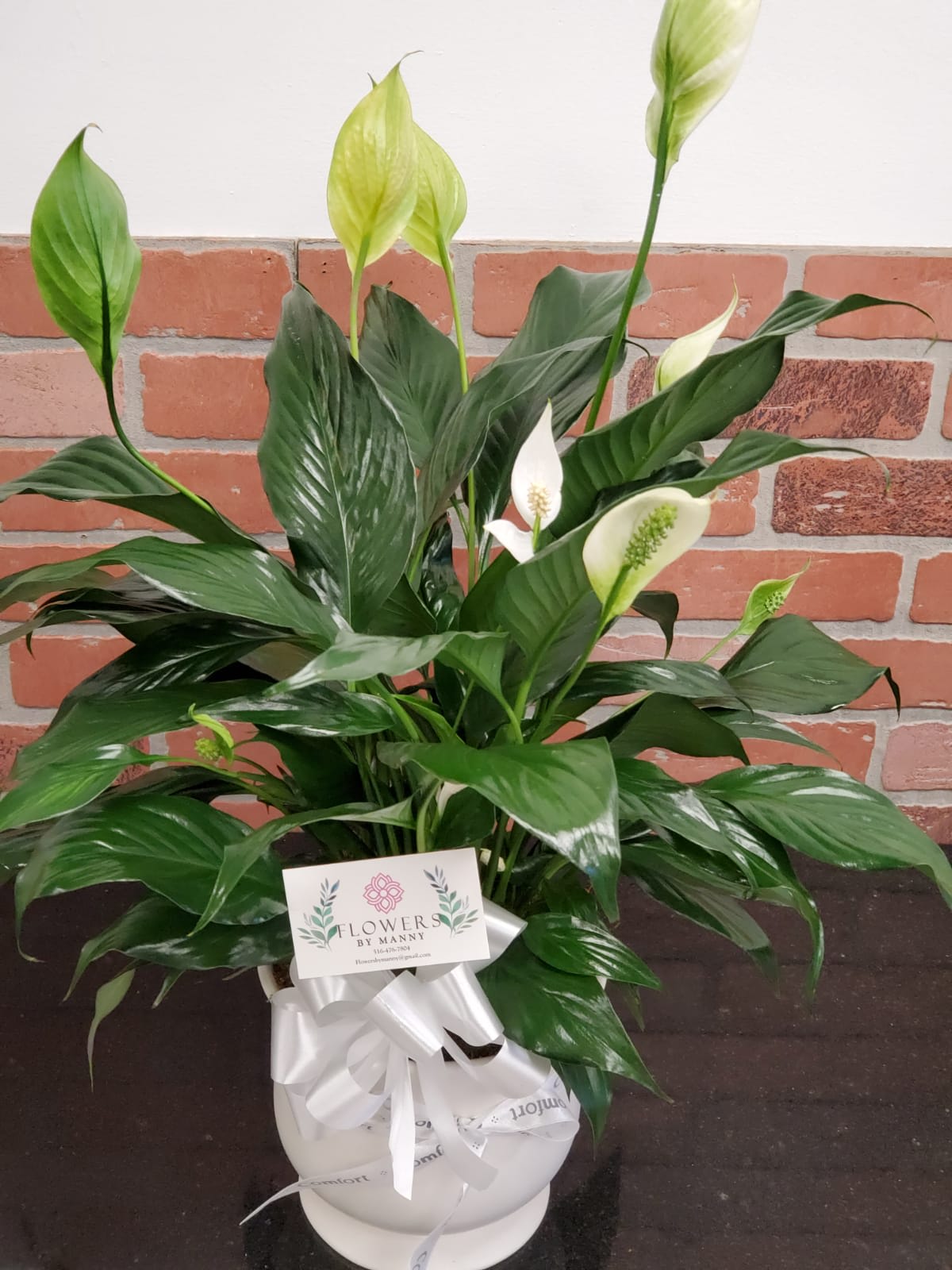 Potted peace lily arrangement with white blooms and glossy green leaves