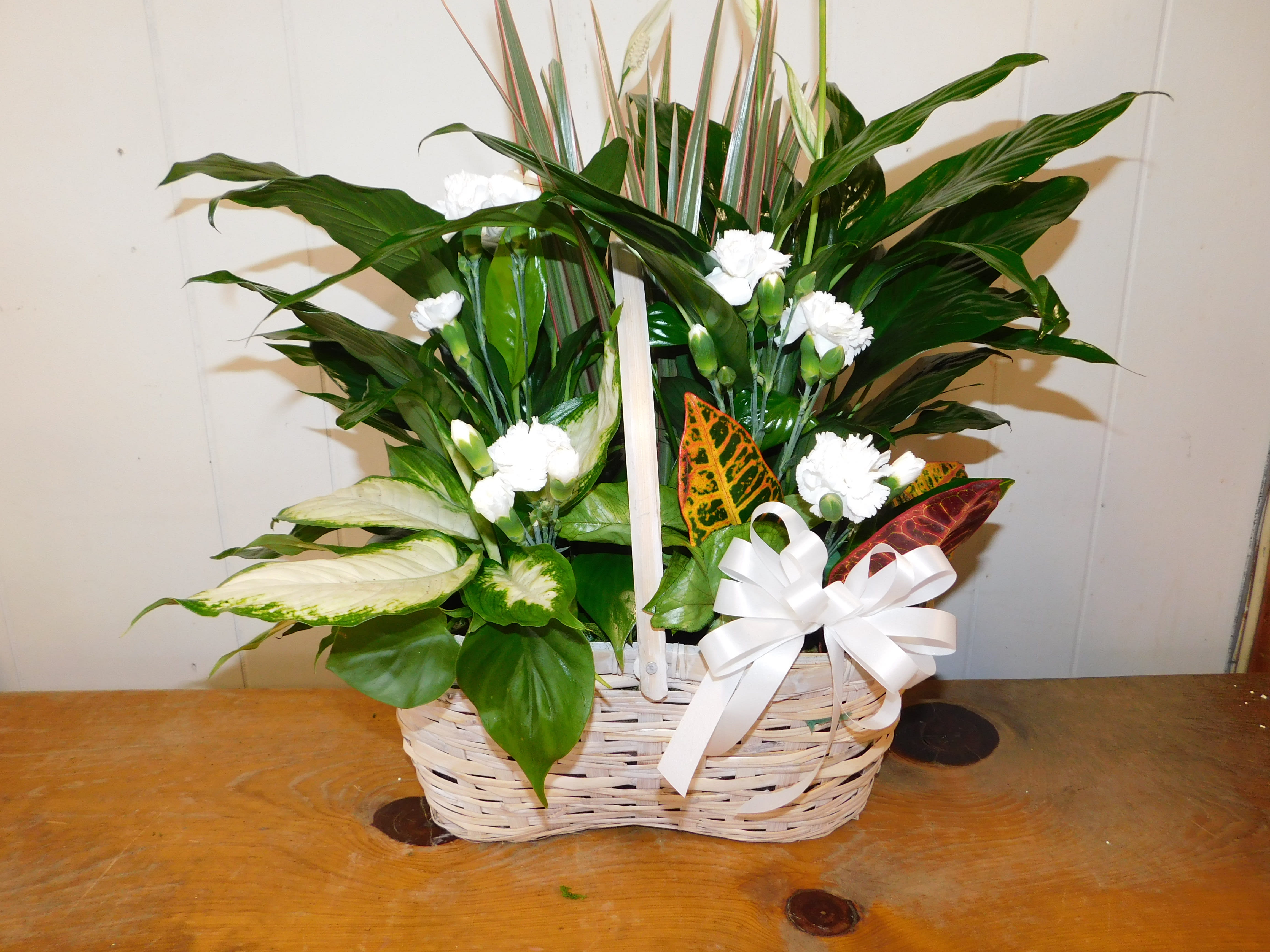 White carnations and tropical foliage in a wicker basket with a white bow