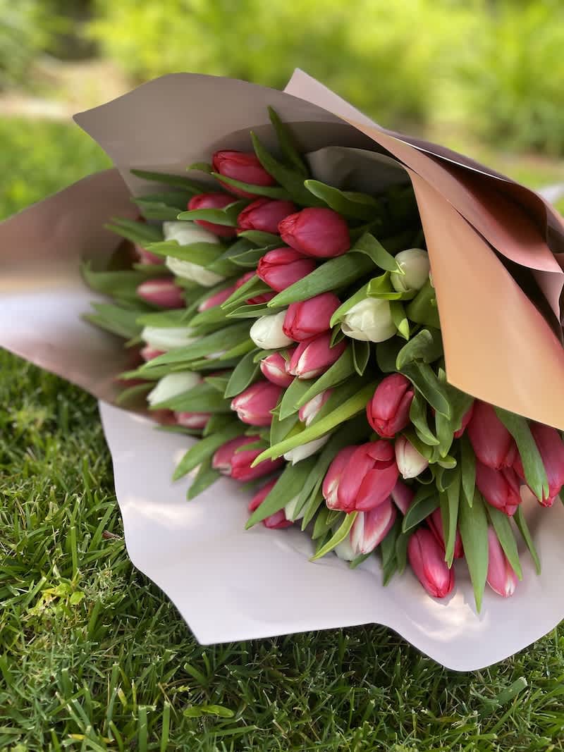 Spring Hug - Beautiful bunch of 30  mixed tulips