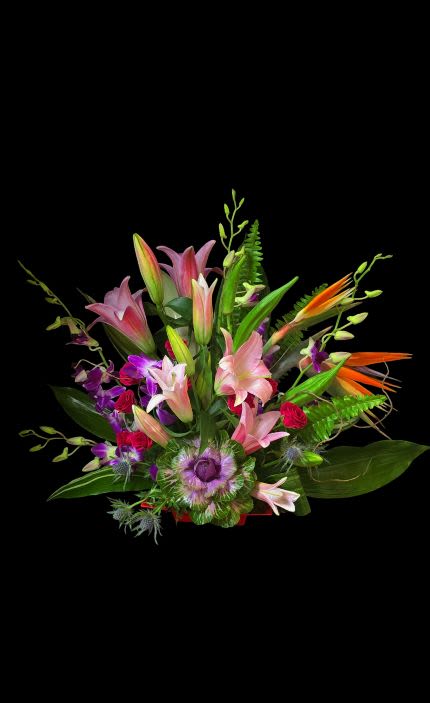 Tropical Remembrance - Beautiful tropicals for sympathy. Some flowers may vary due to availability.