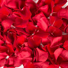 Rose petals natural - Fresh rose petals can be in different colors.