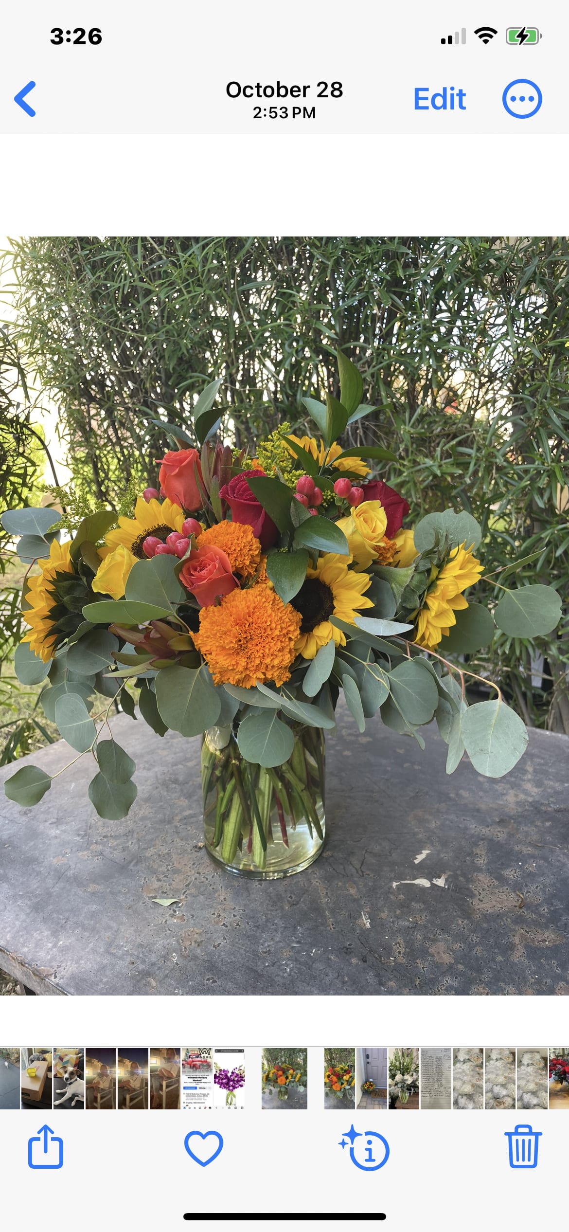 Falllalalala - A beautiful selection of assorted fall flowers.