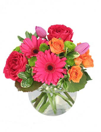 Be Loveable  - Bright, fiery blooms of hot pink gerberas, hot pink garden roses, mini orange spray roses, and purple tulips create a bubble of happiness. Send these fresh flowers to those you love!