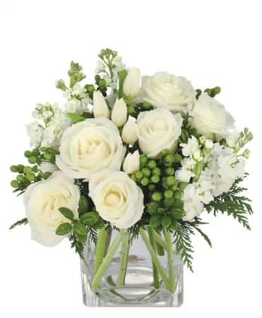 Elegant Florists Choice  - An elegant arrangement with snow white roses, tulips, stock, and green hypericum. 