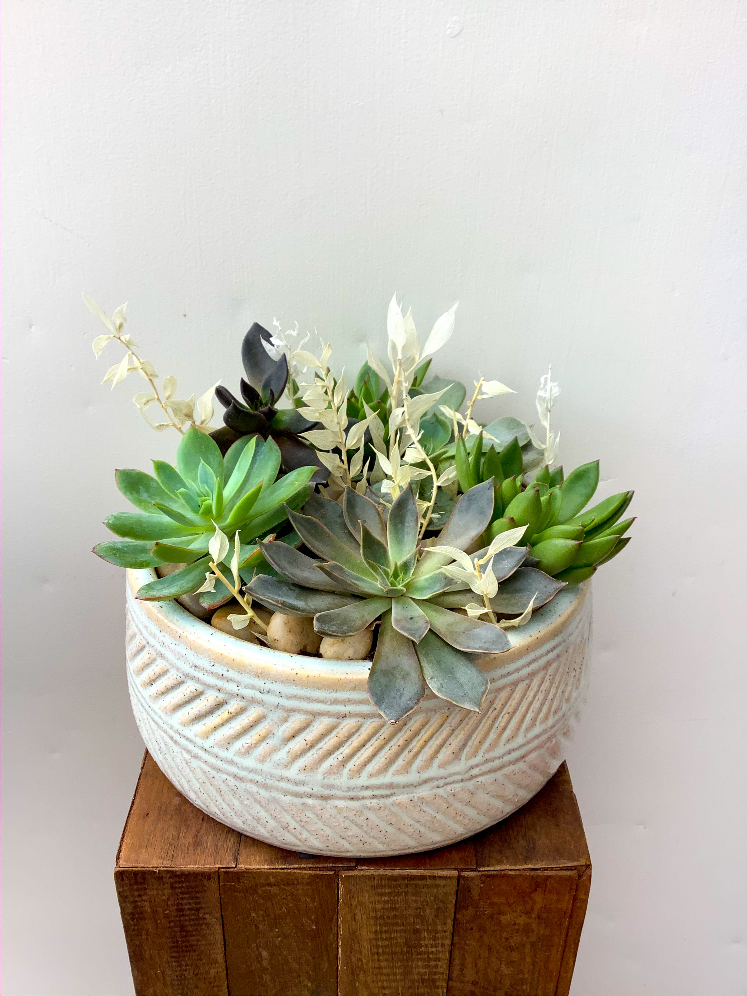 Succulent arrangement in a textured ceramic bowl