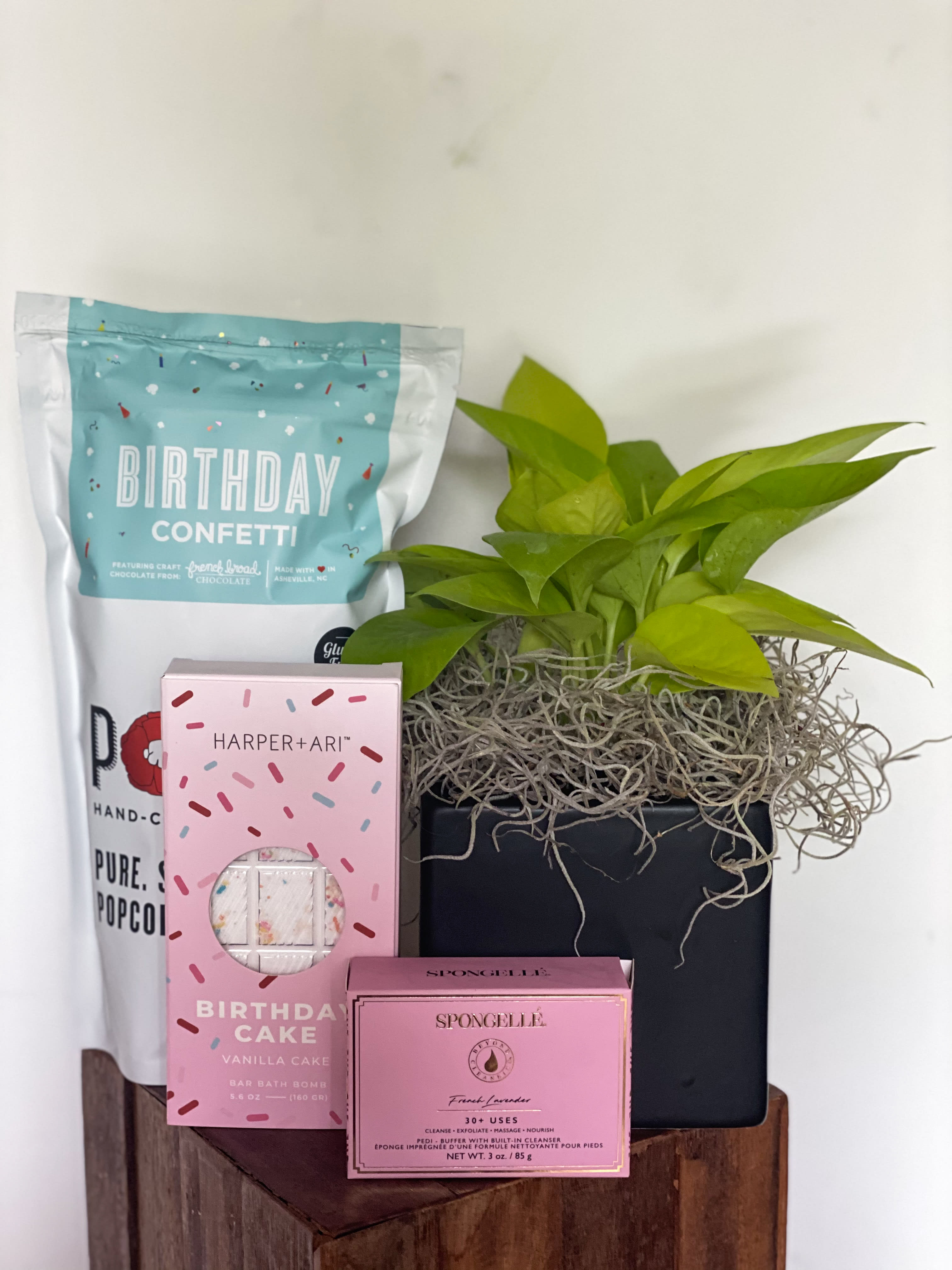 Plant Birthday Bundle - 6” Plant &amp; Pot  Birthday confetti Poppy Popcorn Bar Bath Bomb Spongelle   Plant and pot can vary based on inventory