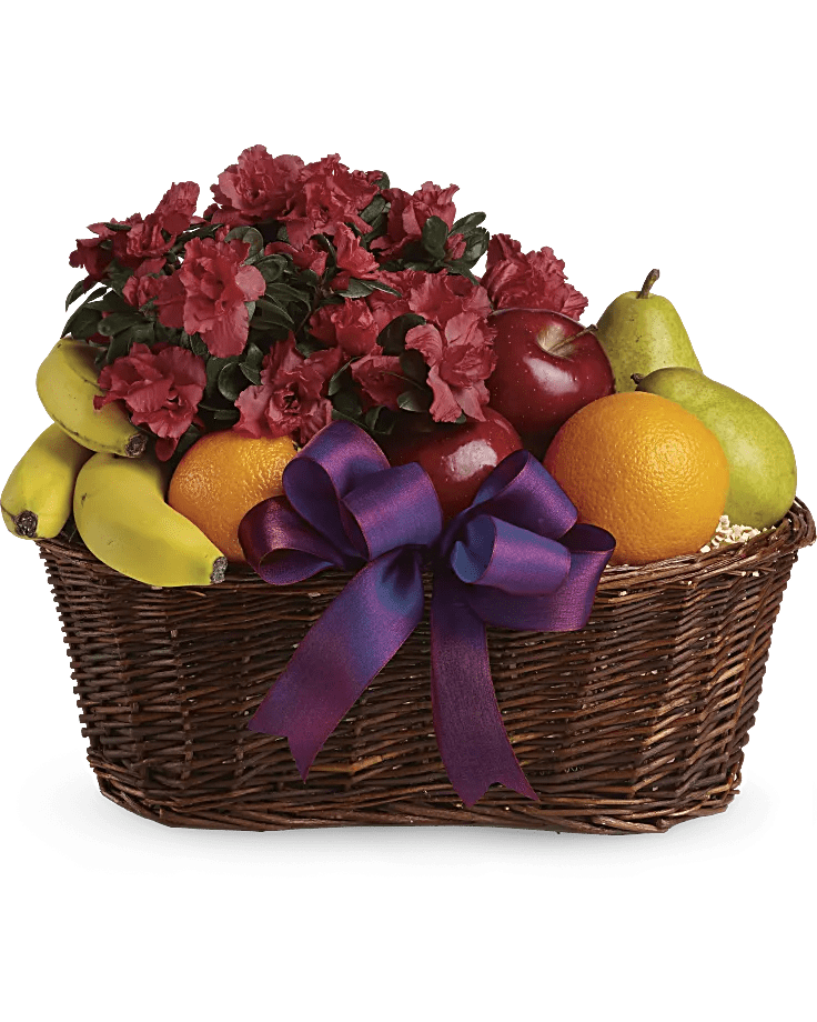 Fruits and Blooms Basket - Fruit meets flowers in this delicious arrangement! Brightened by a potted azalea plant, this fruit gift basket is a yummy choice packed with apples, bananas, pears and oranges. Hand-delivered by a florist, it brings health and good cheer to a hospital room, nursing home or new baby's nursery. One potted azalea plant decorates a gift basket containing five apples, five pears, six oranges and six bananas. Decorated with a large bow. Orientation: N/A  SUBSTITUTION POLICY – Always deliver the freshest flowers! Please note the bouquet pictured reflects our original design.  If the exact flowers or container in this arrangement are not available, our local florists will create a beautiful bouquet with the freshest available flowers.