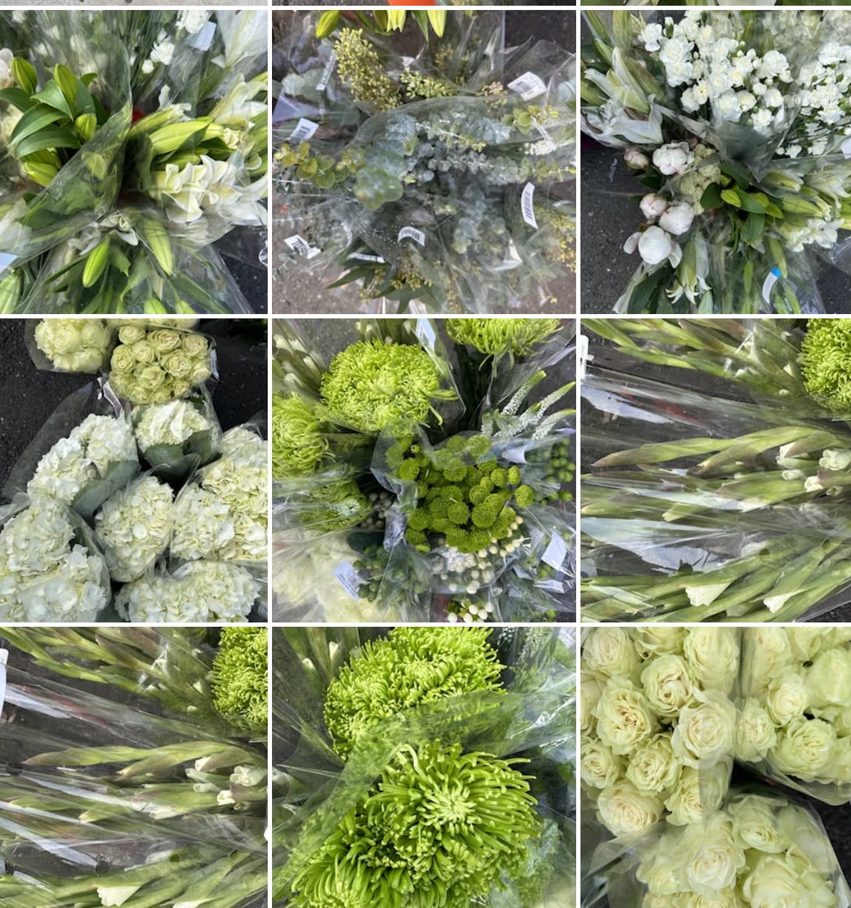 Assorted bouquets of white and green flowers wrapped in plastic.