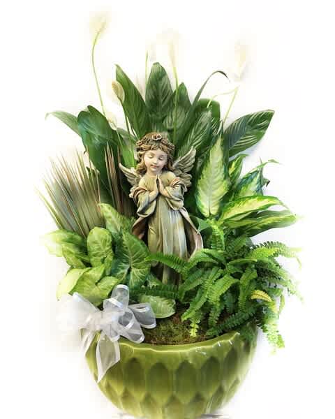 Green potted plant arrangement with an angel figurine and white ribbon