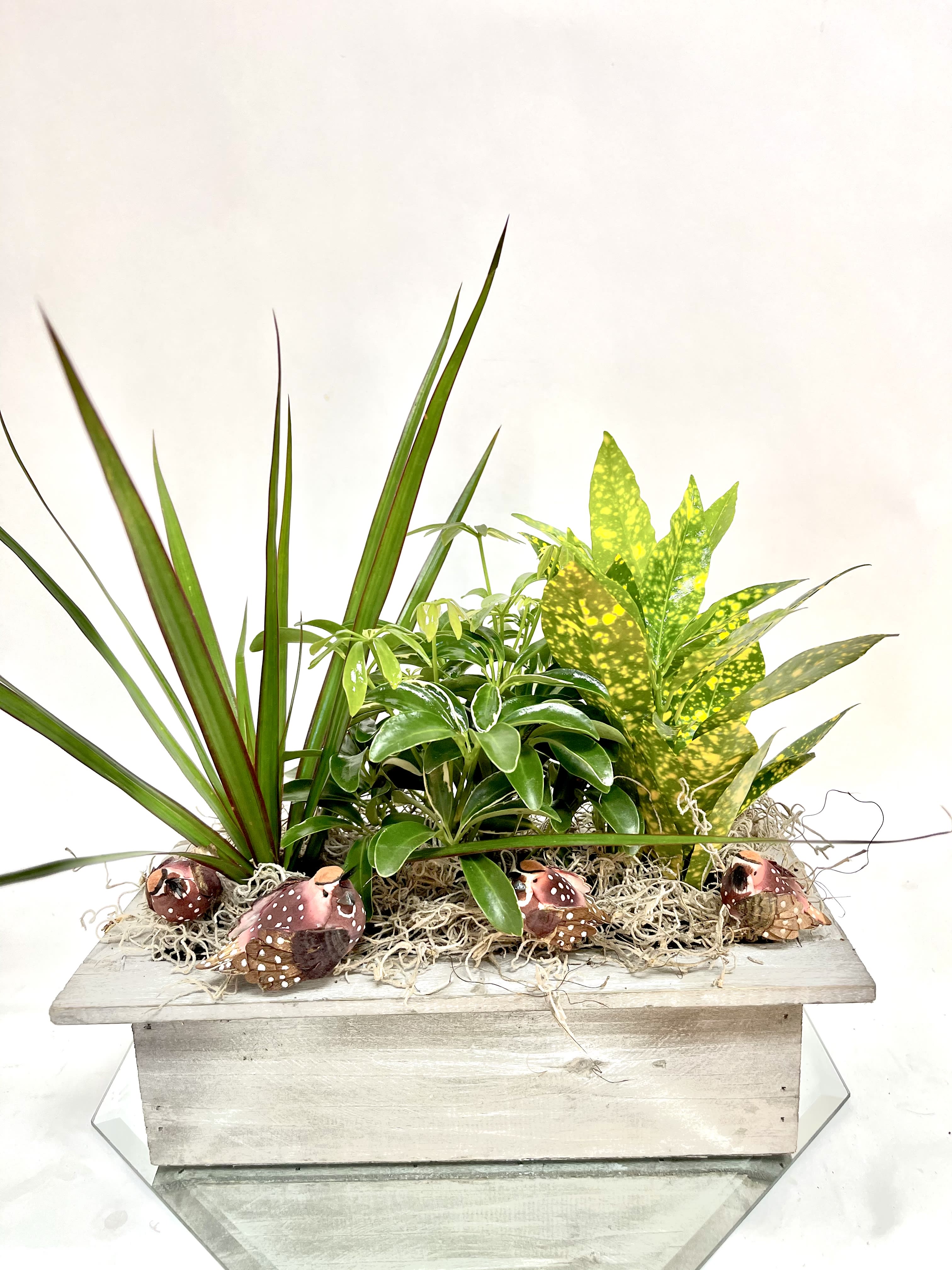 Mixed potted plants in a rectangular wooden planter with decorative mushrooms