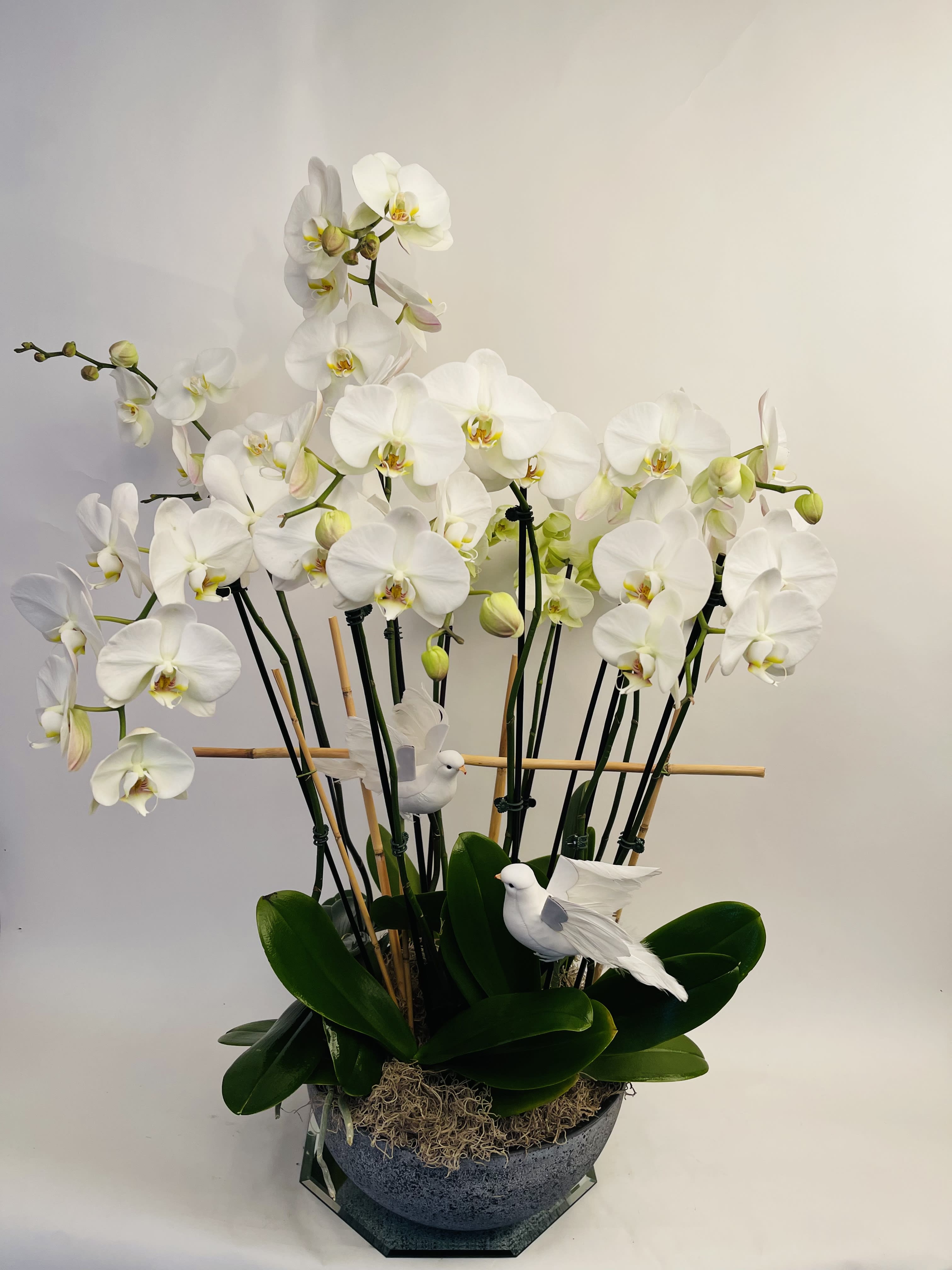 White orchids arranged in a dark bowl with decorative white birds