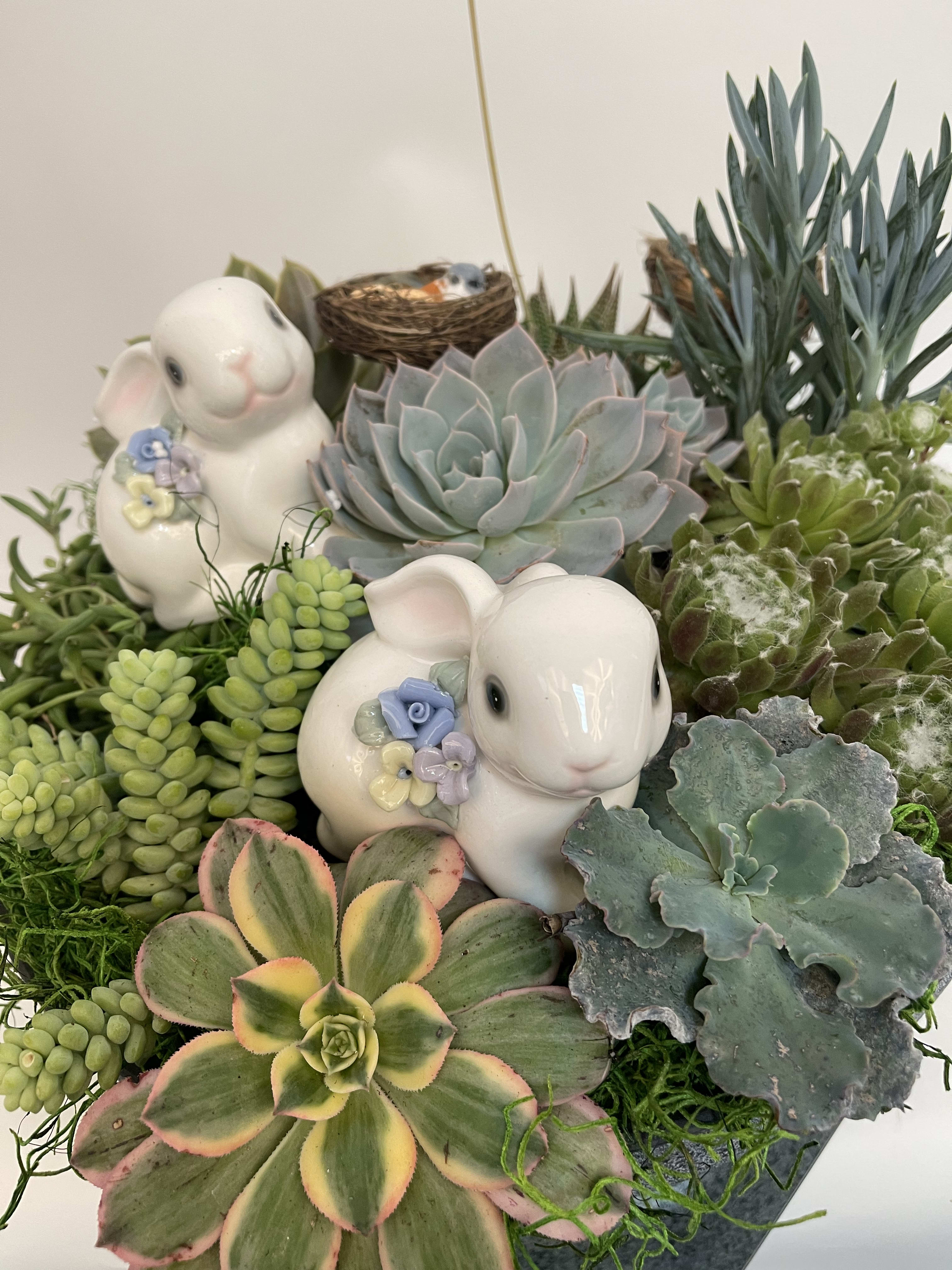 Succulent arrangement with ceramic bunny figurines