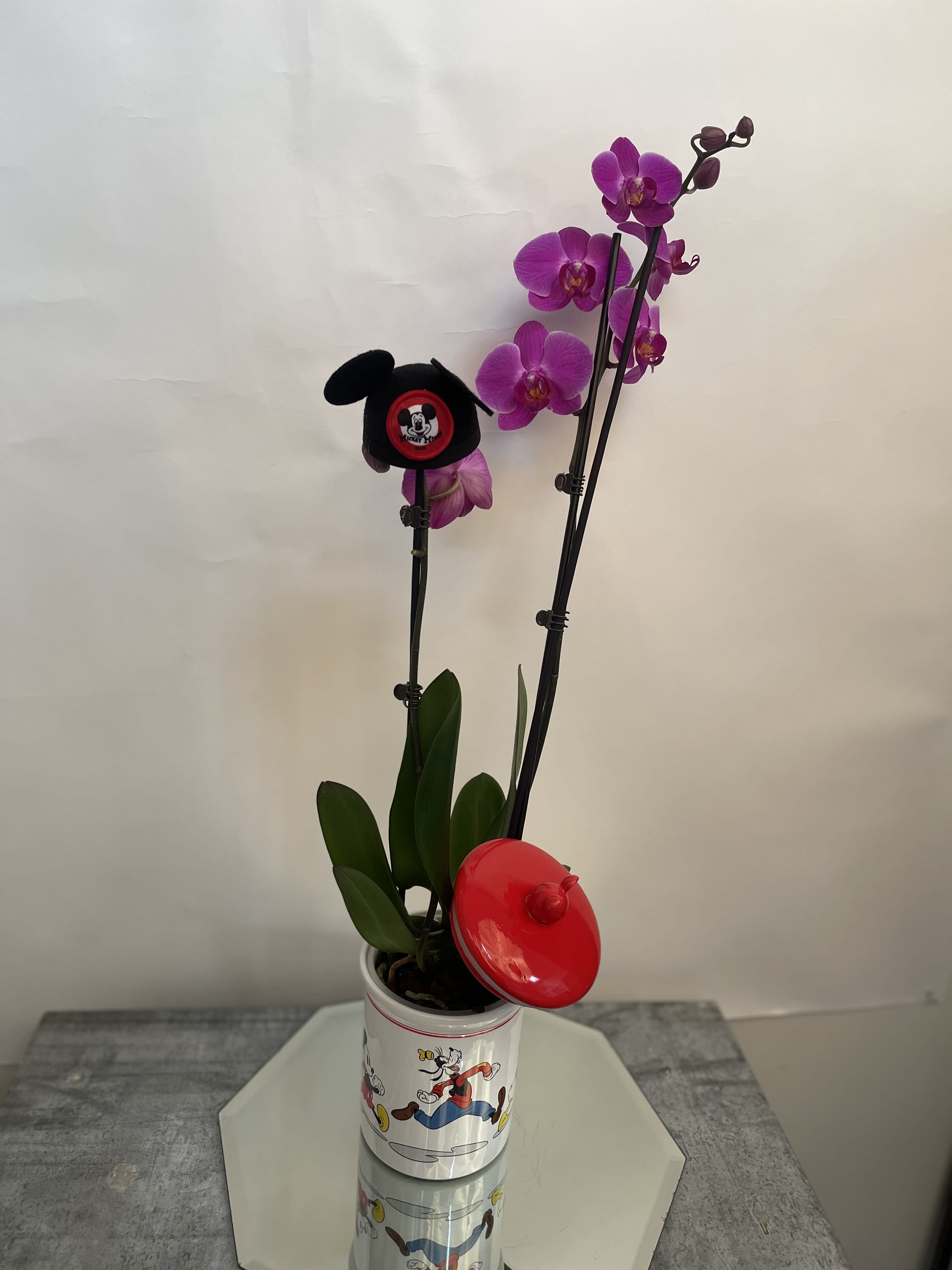 Potted purple orchids in a Mickey Mouse tin container with decorative clips