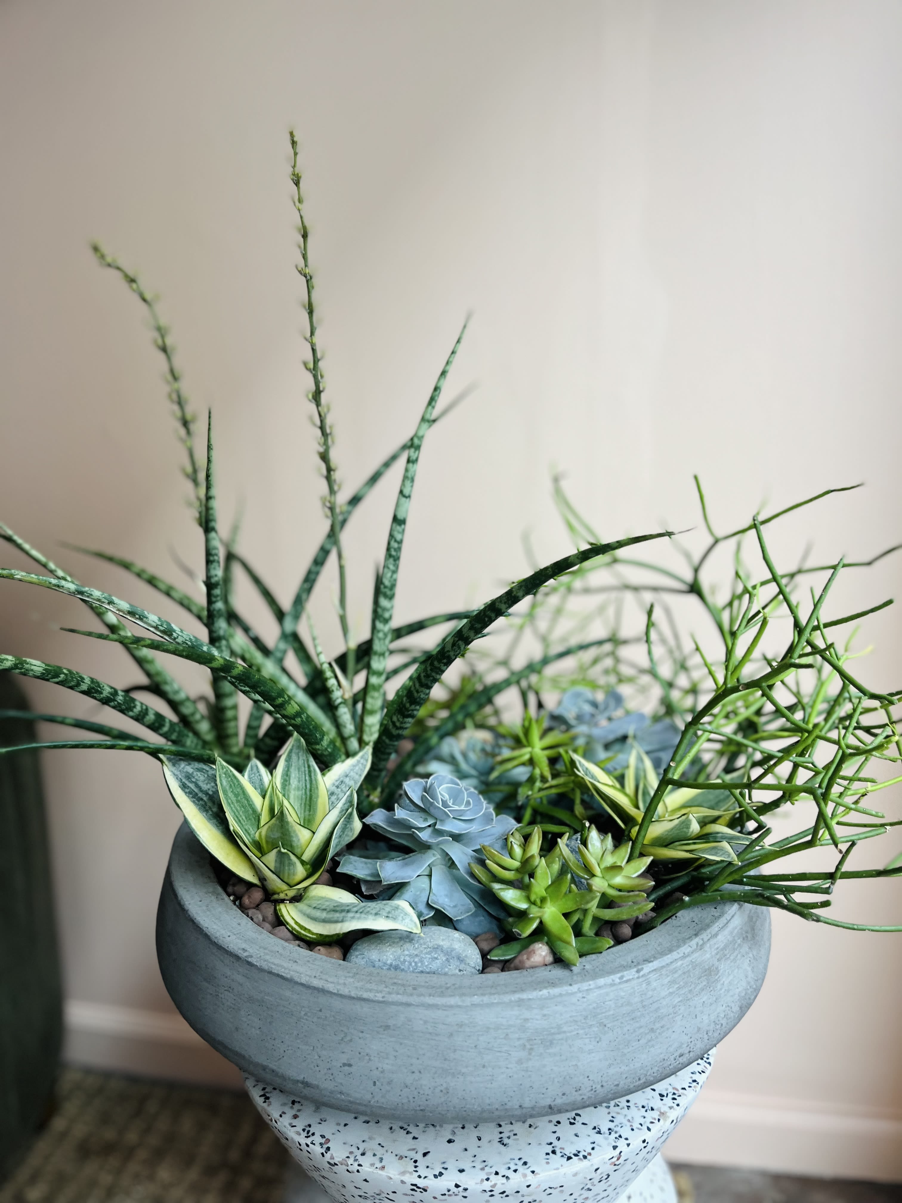 Assorted green and blue succulents in a round gray concrete planter on a pedestal