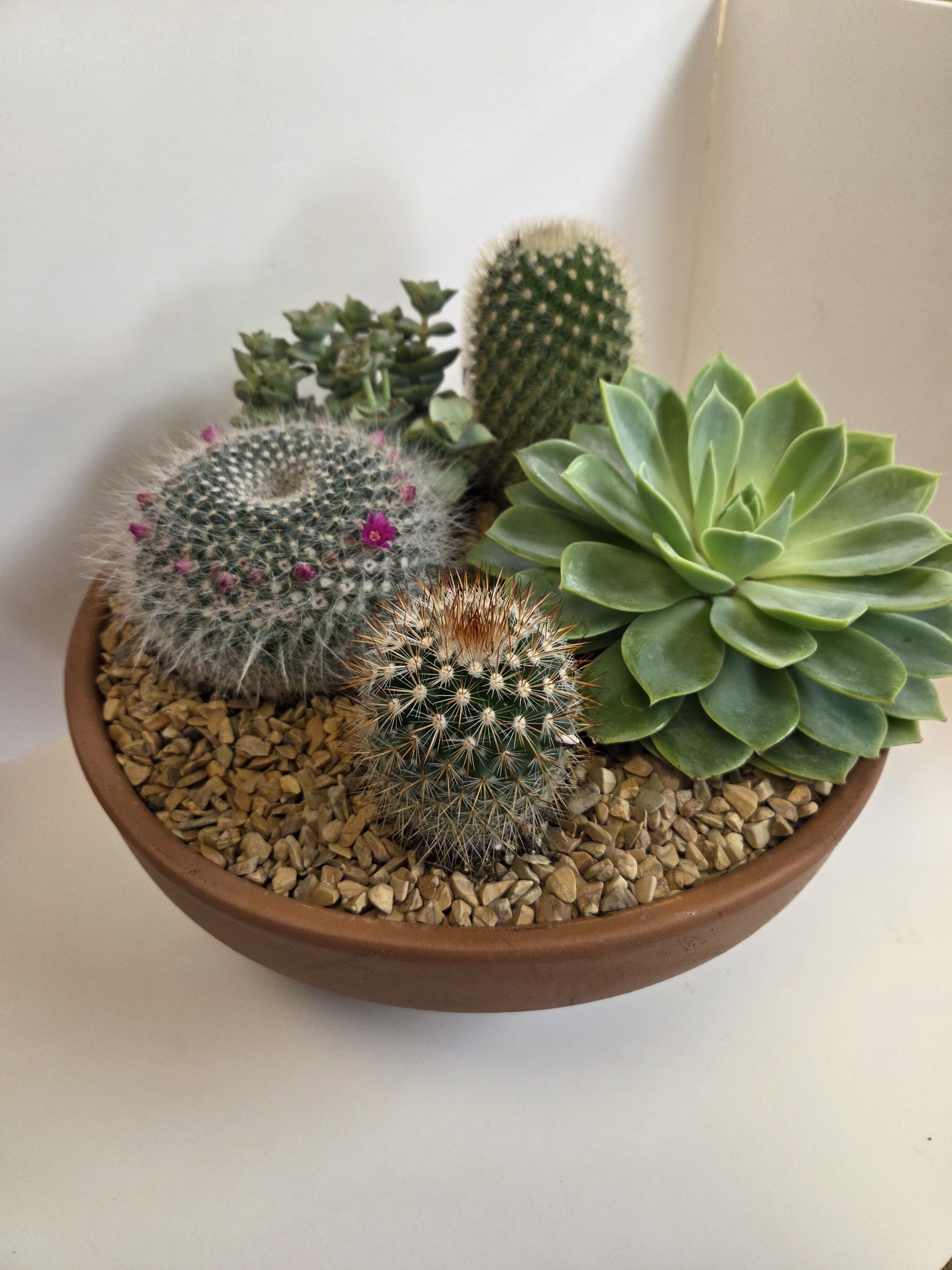 EL PASEO - This arrangement is easily made larger.