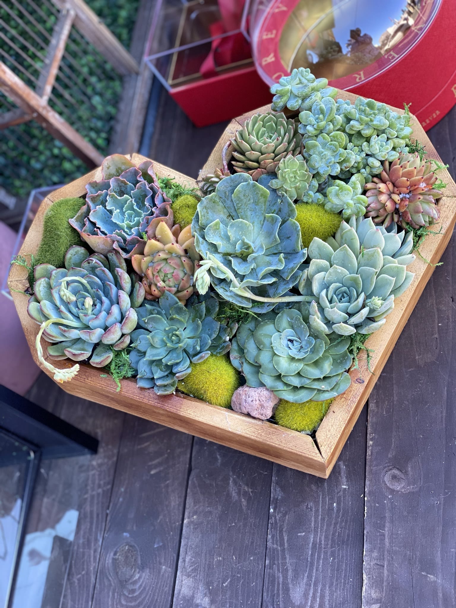 Succulent Heart - Heart shaped wood container with succulents plants