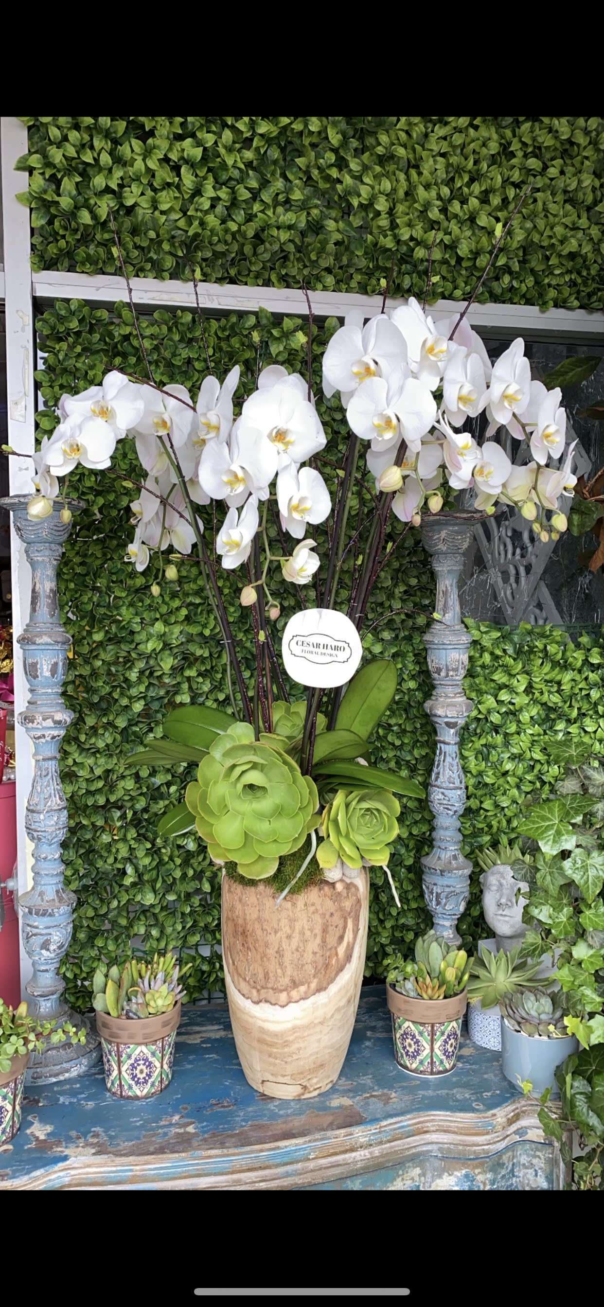 Gorgeous Orchid  - Wood container beautifully designed with white orchids