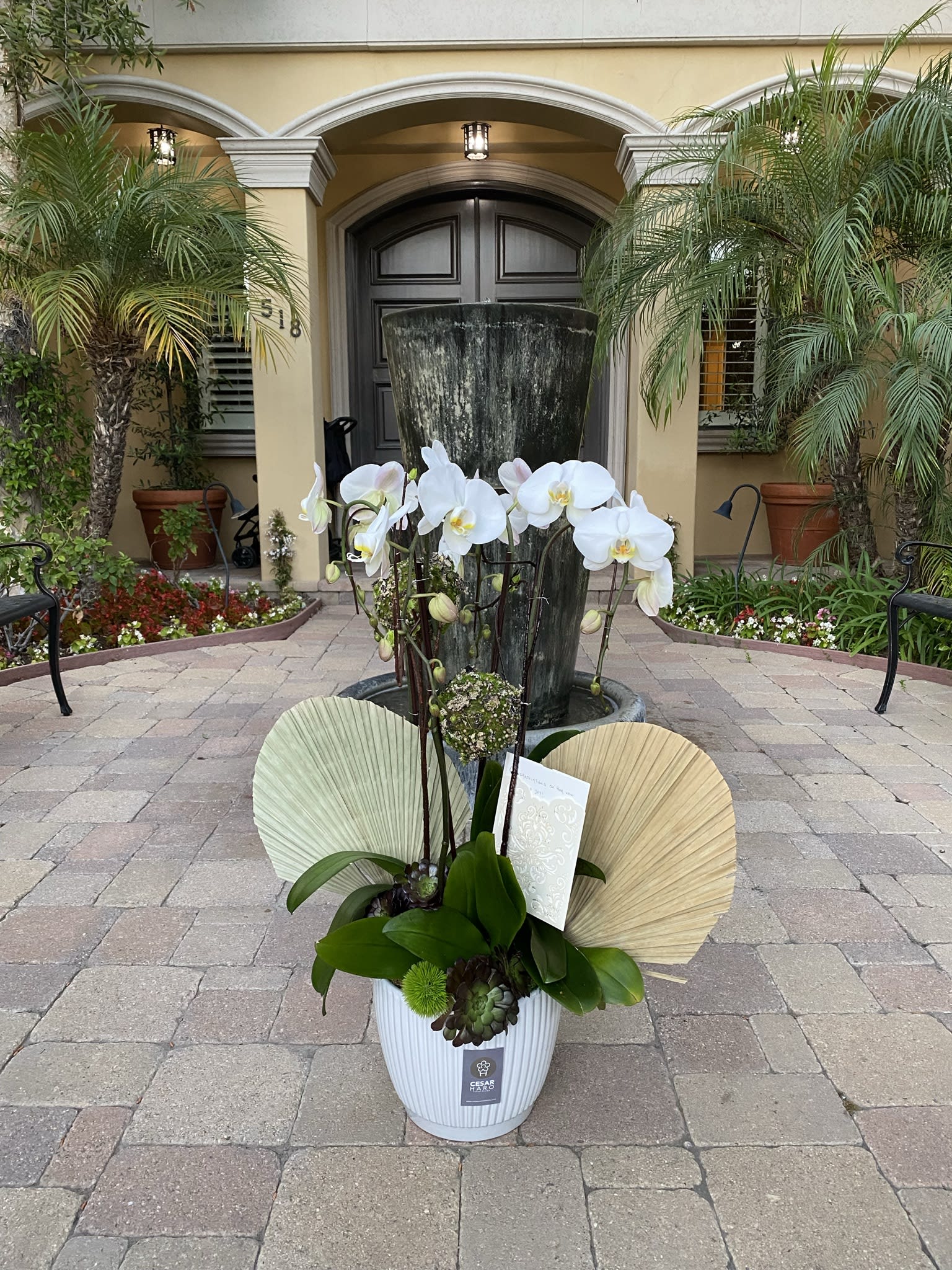 Precious orchids  - White ceramic vase with tall elegant orchids, dried palm leaves and succulents surrounding the bottom part. 
