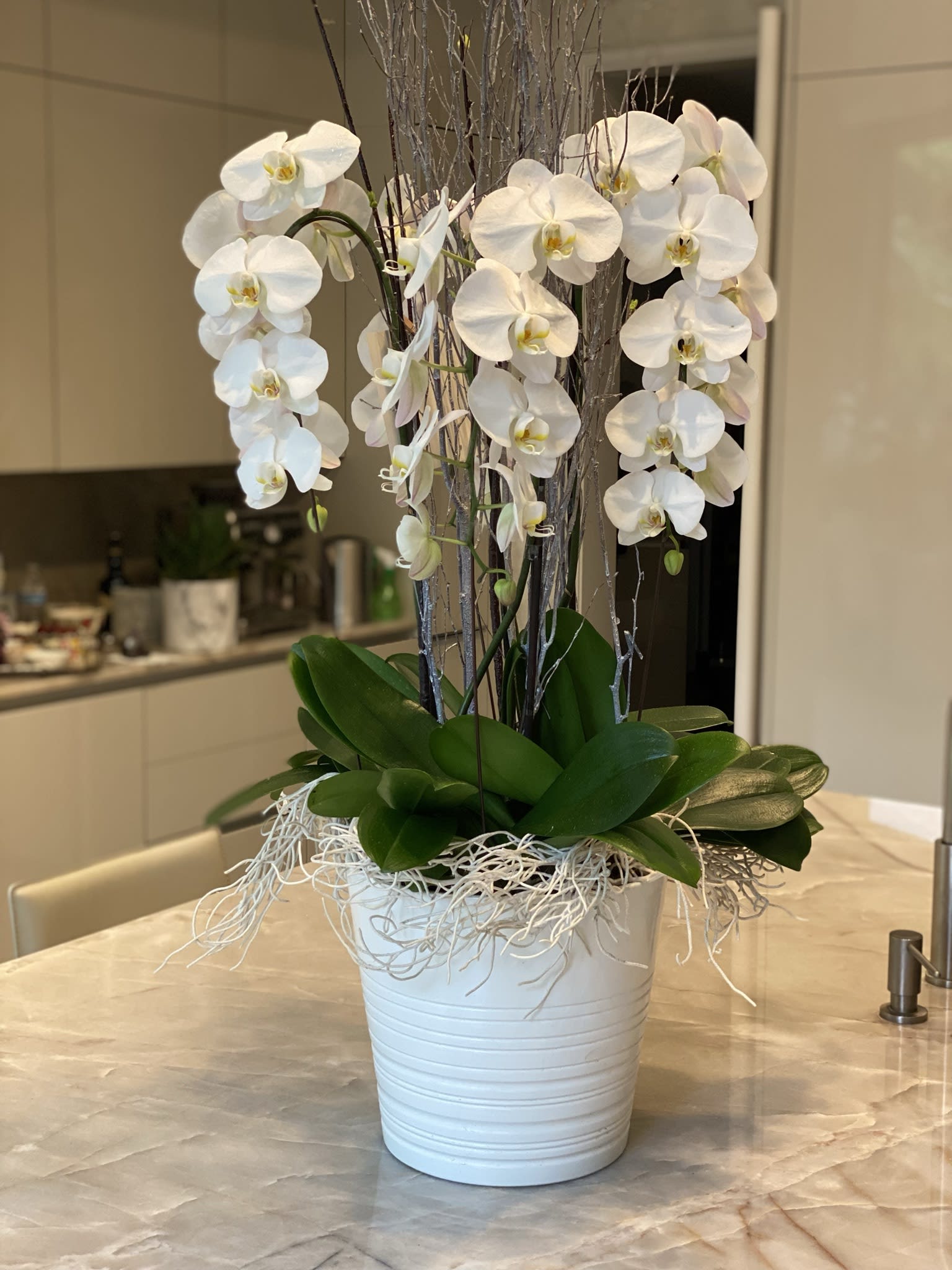 White Dreamy Orchids  - Ceramic white vase with pure nicely arranged orchids 