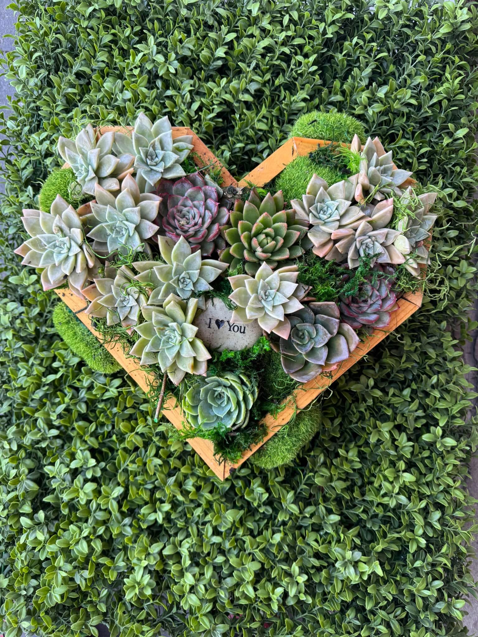 Earthbound Love - Succulents embraced in a wood heart base with a touch of Love.  