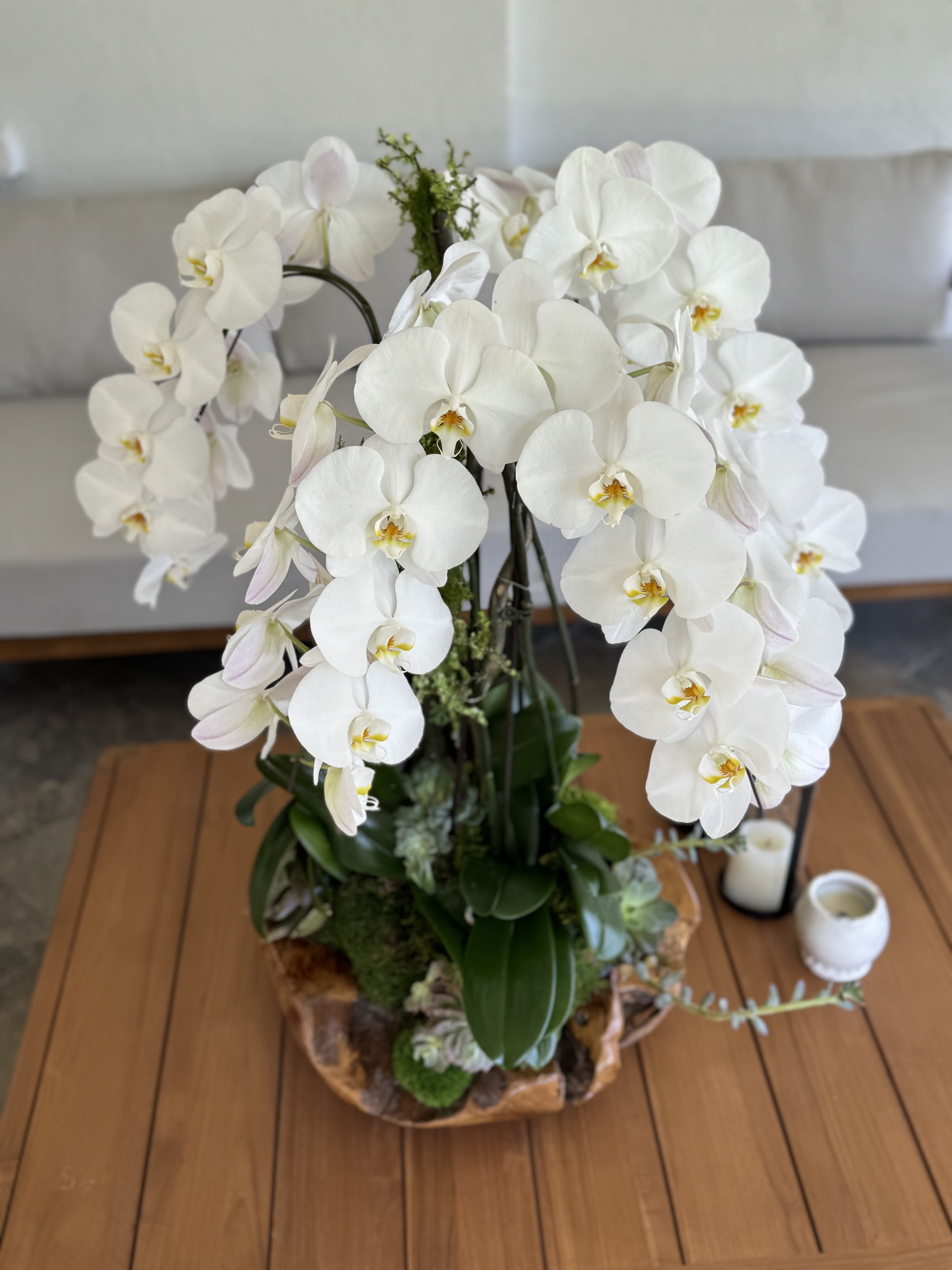 Orchids V  - Gorgeous White Orchids with Cascading shape in a nice wood piece container 