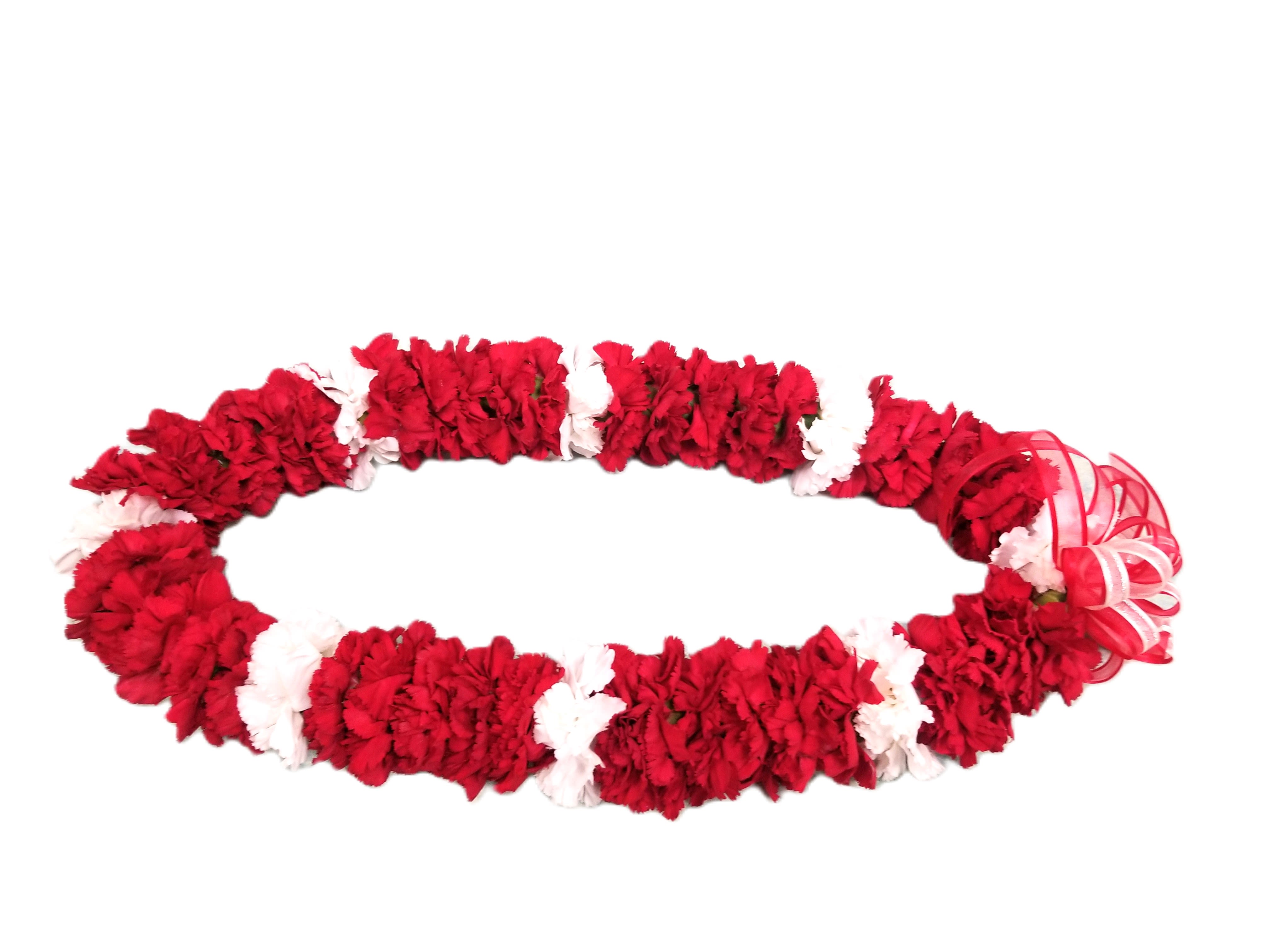Red and white carnation lei with a ribbon bow