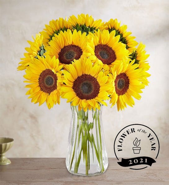 Bouquet of yellow sunflowers in a clear glass vase