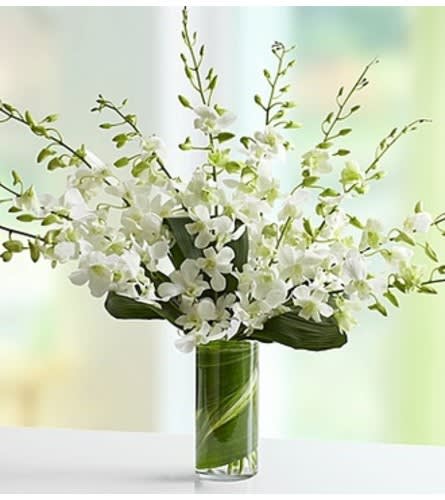 White orchid arrangement in a tall glass vase