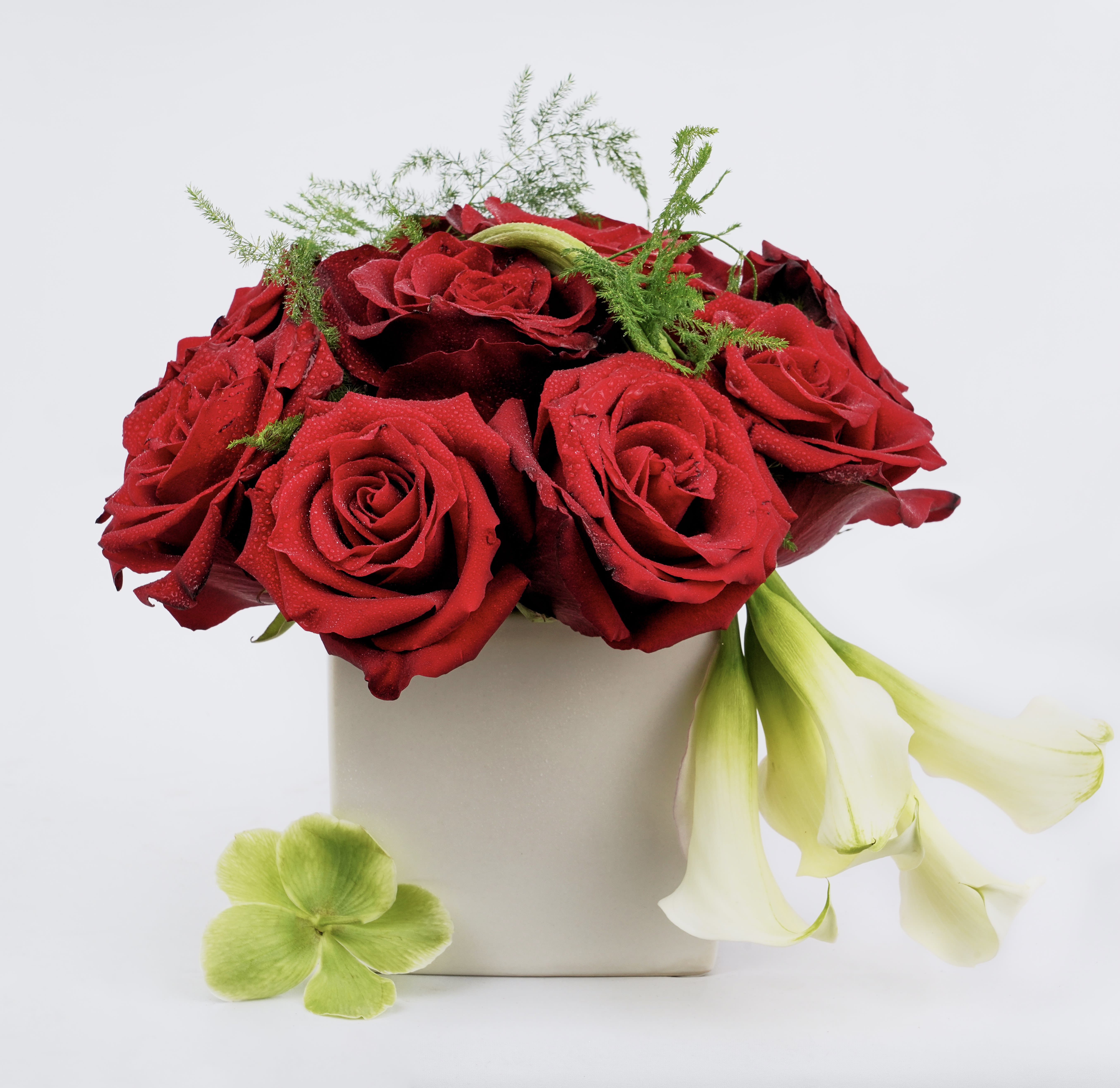 Red roses in a beige box with pale calla lilies